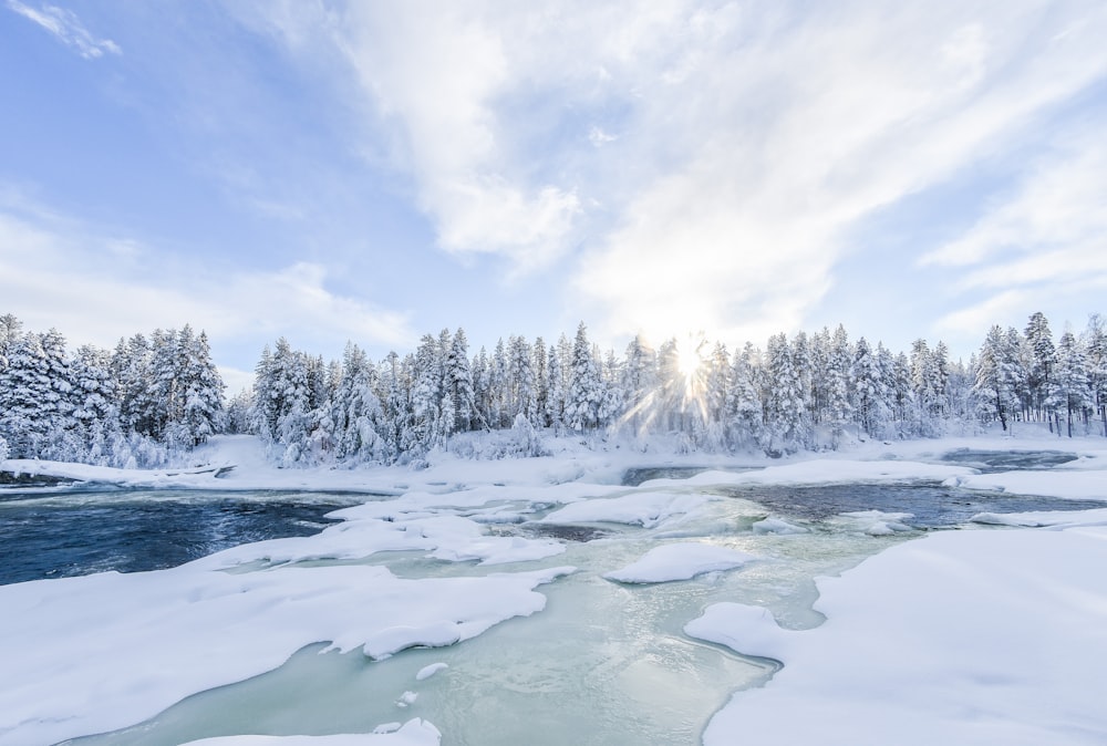 a river running through a snow covered forest