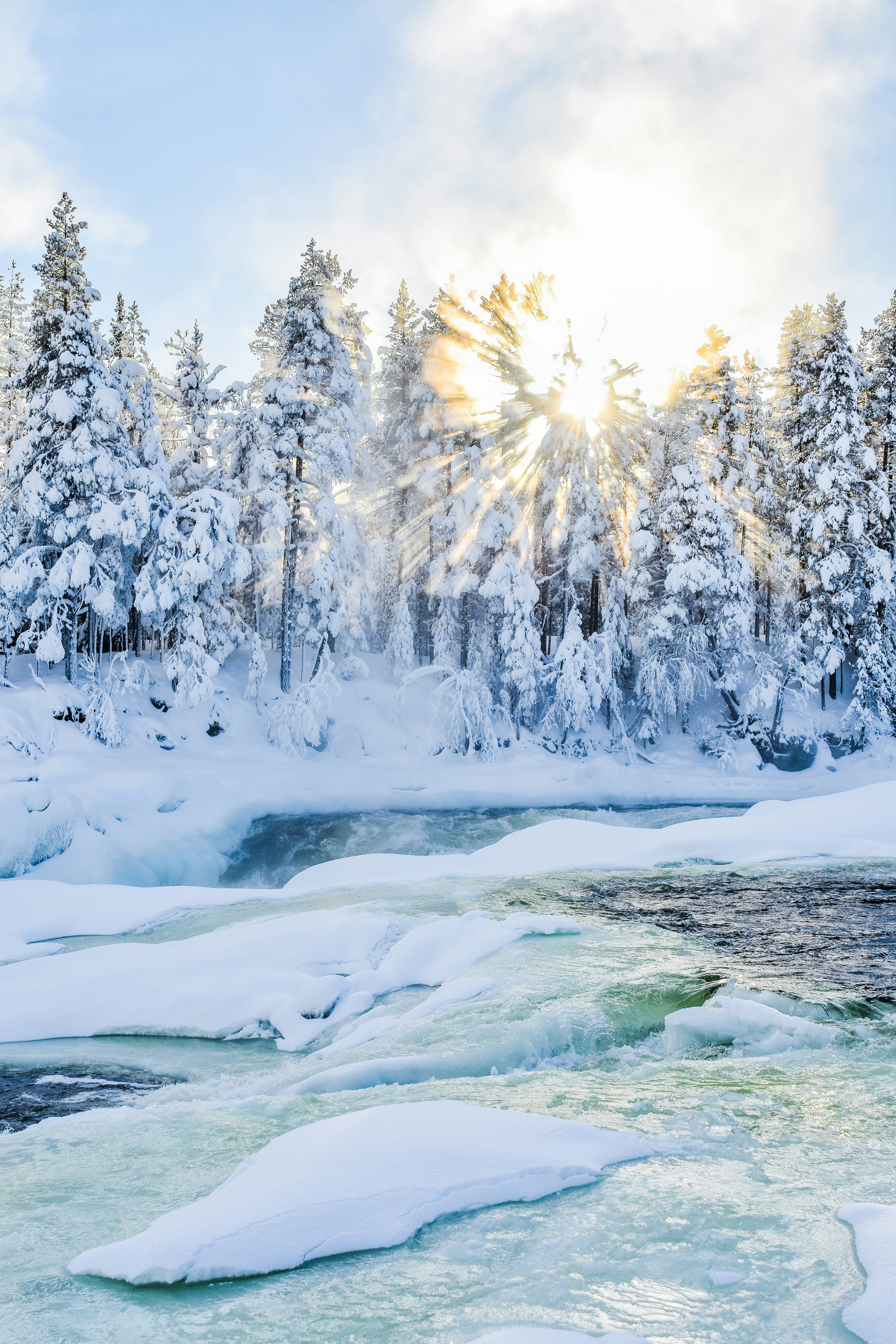 Photo by niklasjonasson