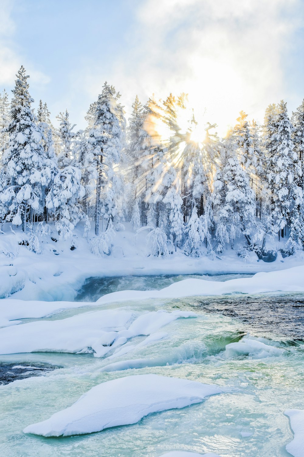 a river running through a snow covered forest