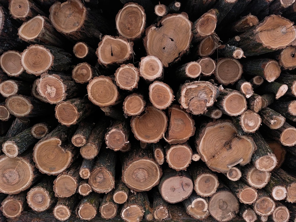 a large pile of logs stacked on top of each other