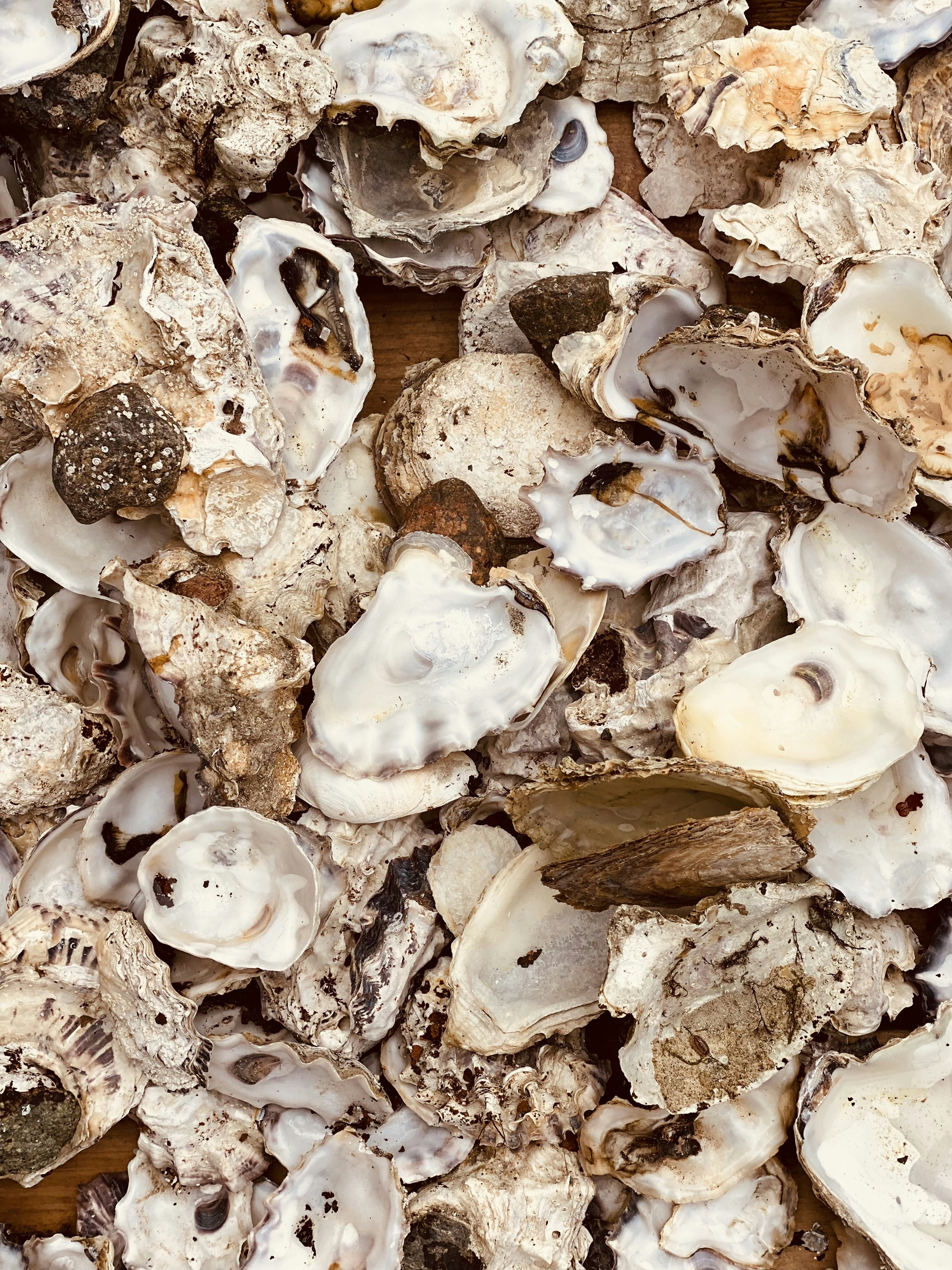 Photo by majakoppfeldt