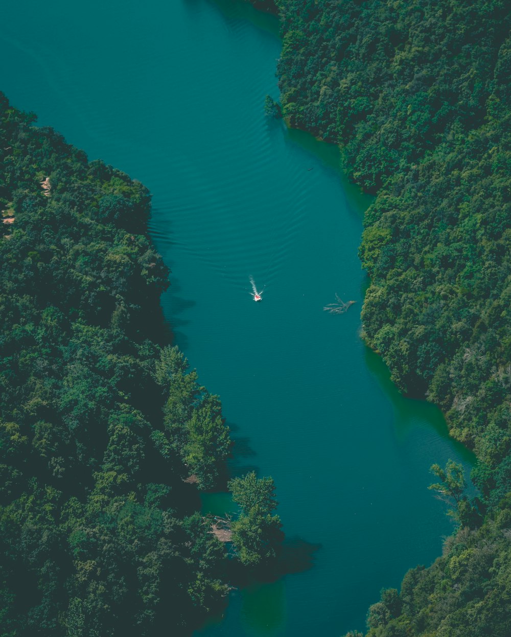 an aerial view of a lake surrounded by trees