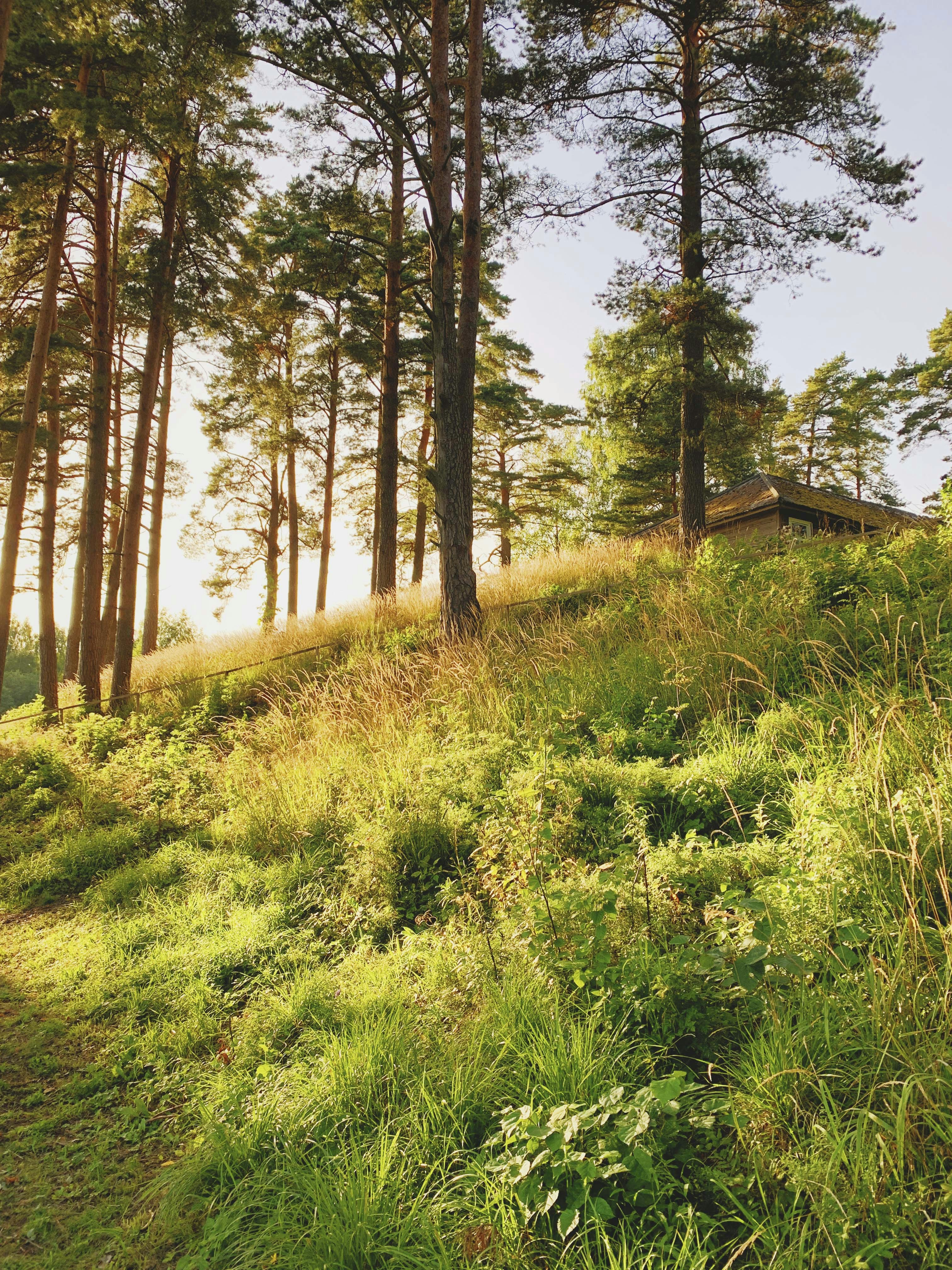 Photo by gaizromanovich