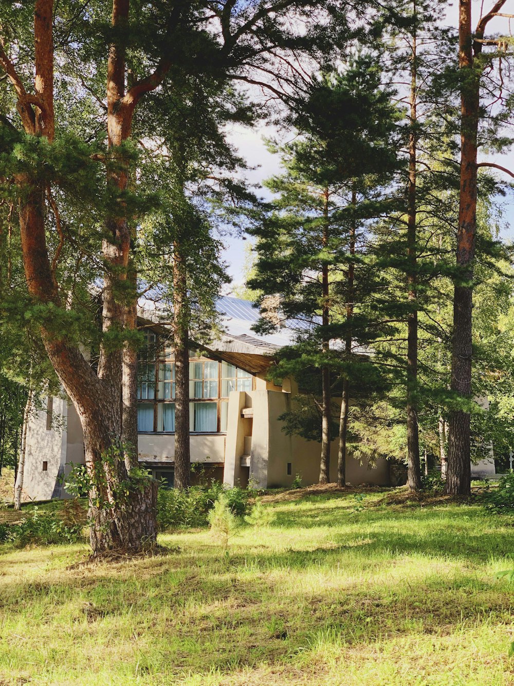 a house in the middle of a wooded area