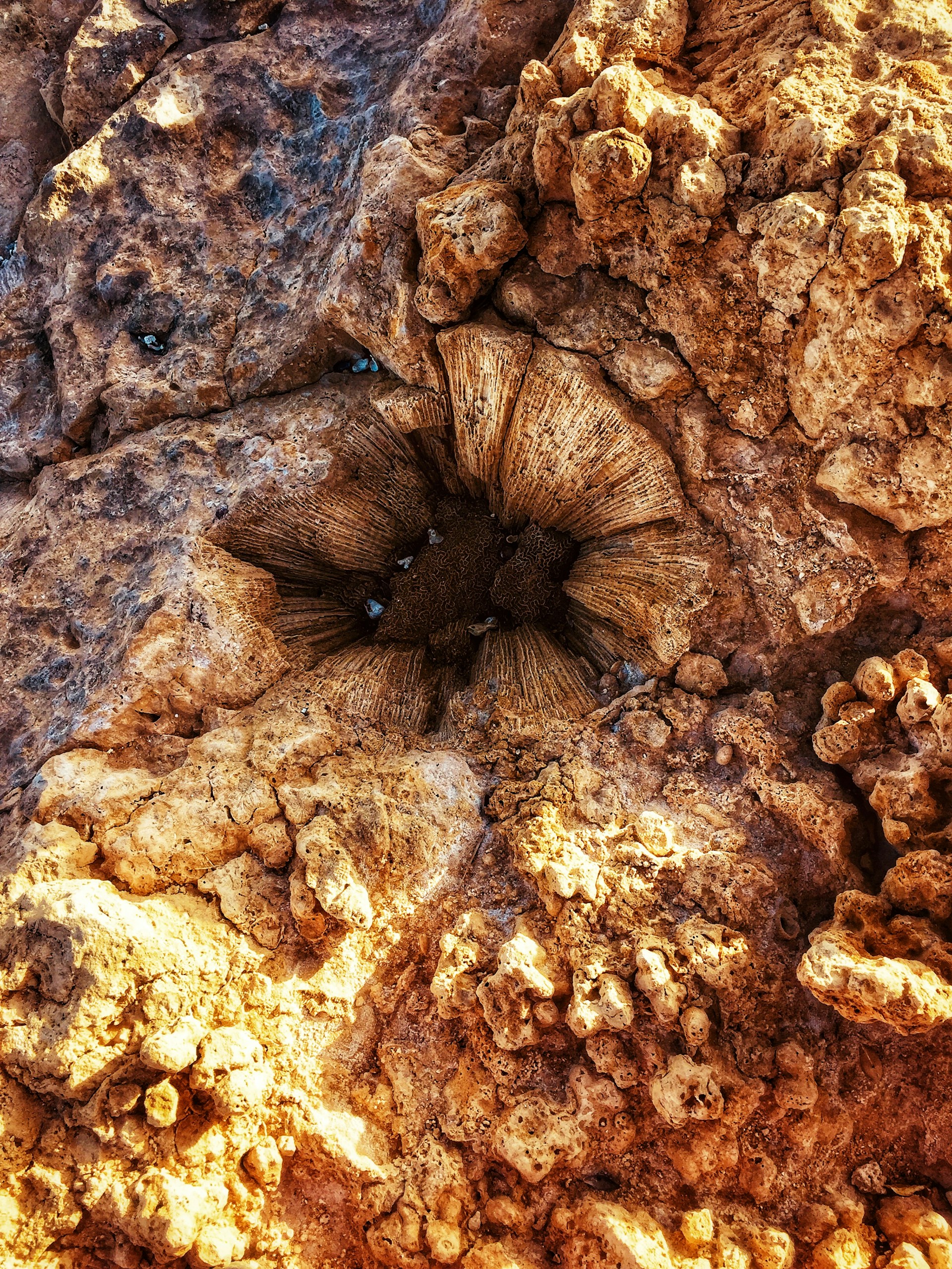 gray computer monitor