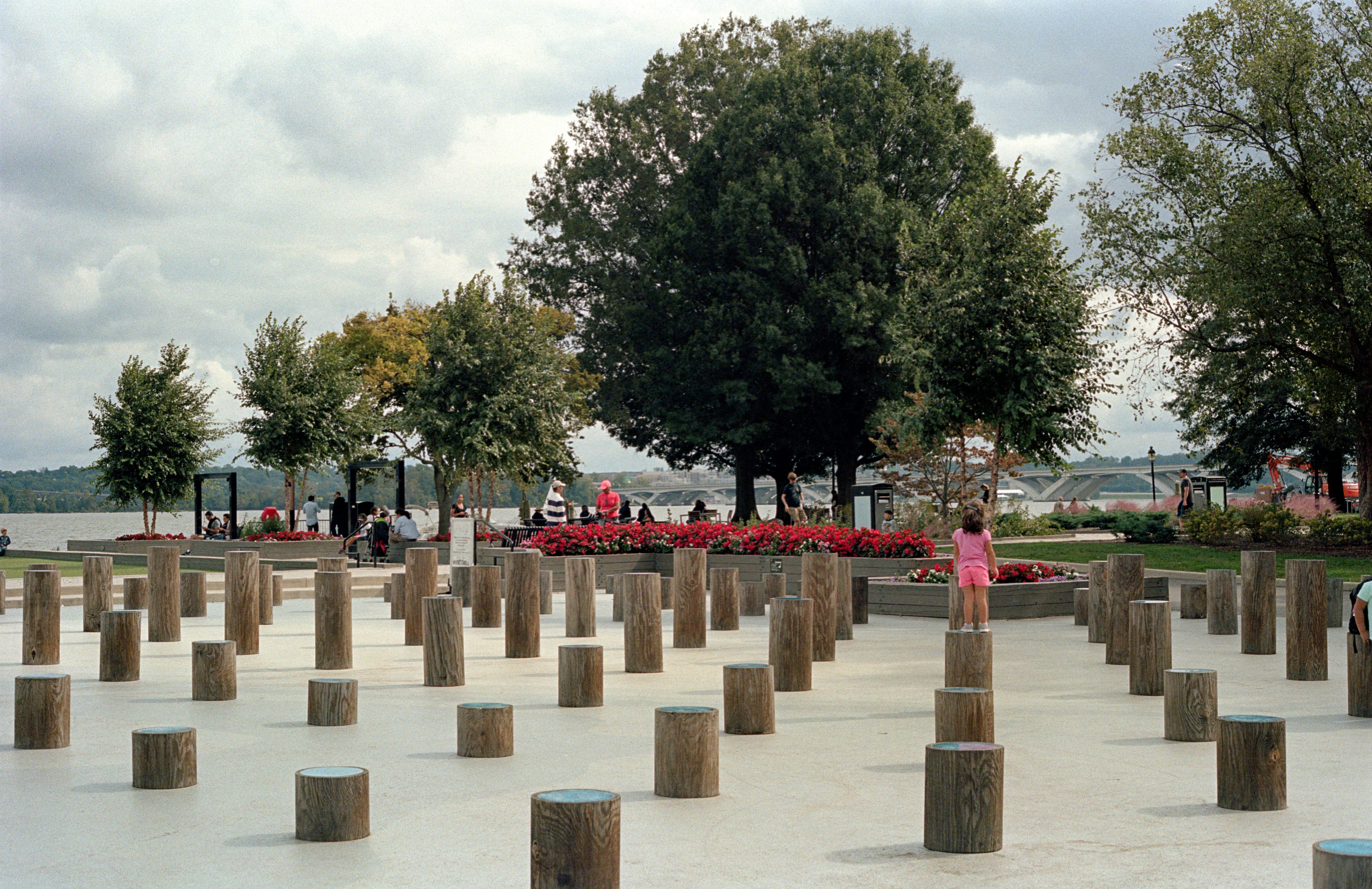 a woman standing in a park surrounded by trees