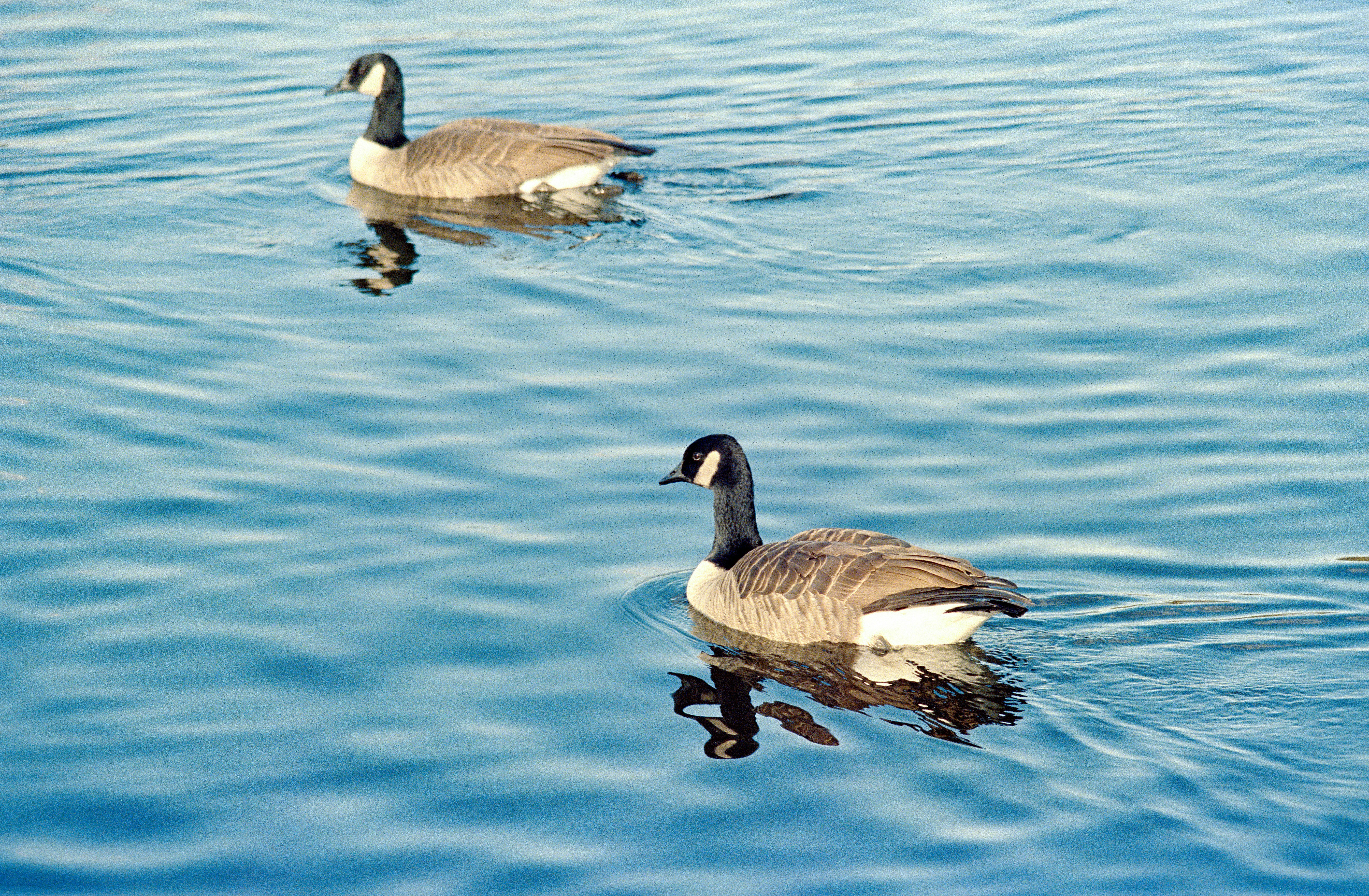 Photo by markstenglein