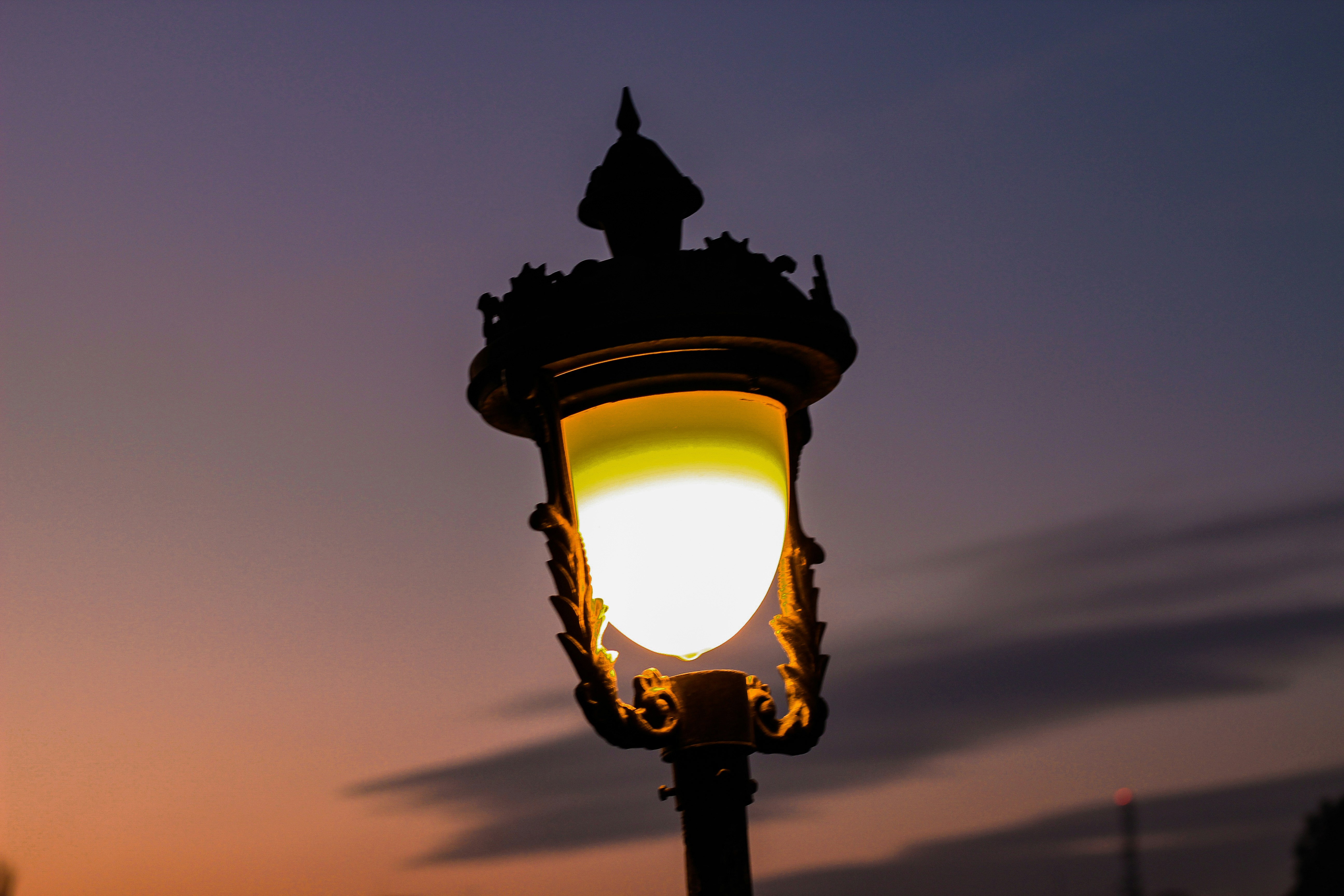 Photo by saeedisavy78