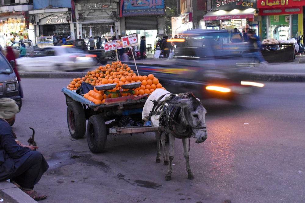 a donkey pulling a cart full of oranges down a street