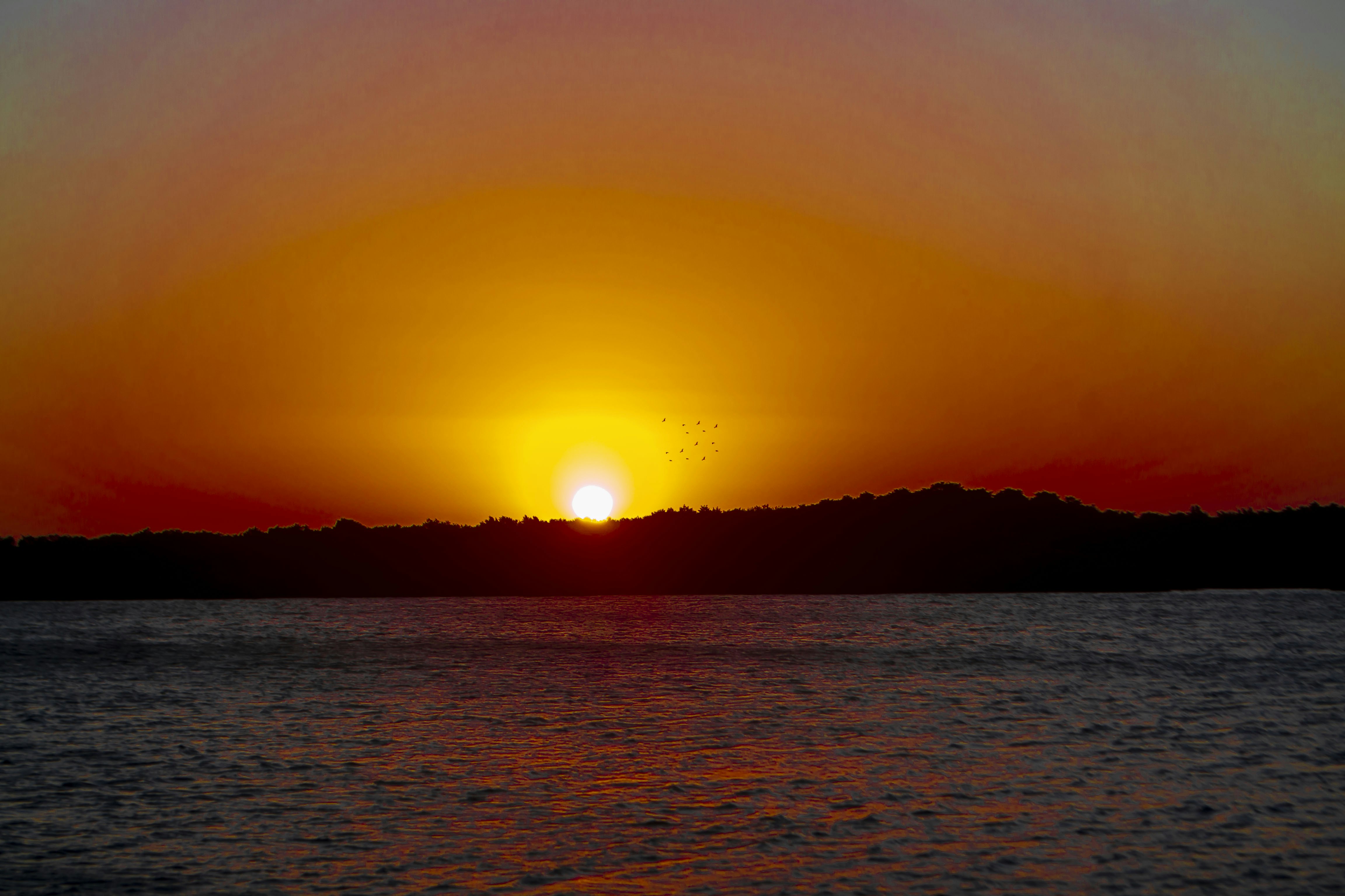 Photo by patriciosouza