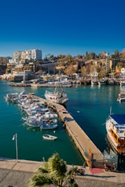 a harbor filled with lots of boats next to a city