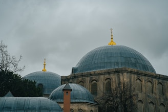 a view of a building with two domes