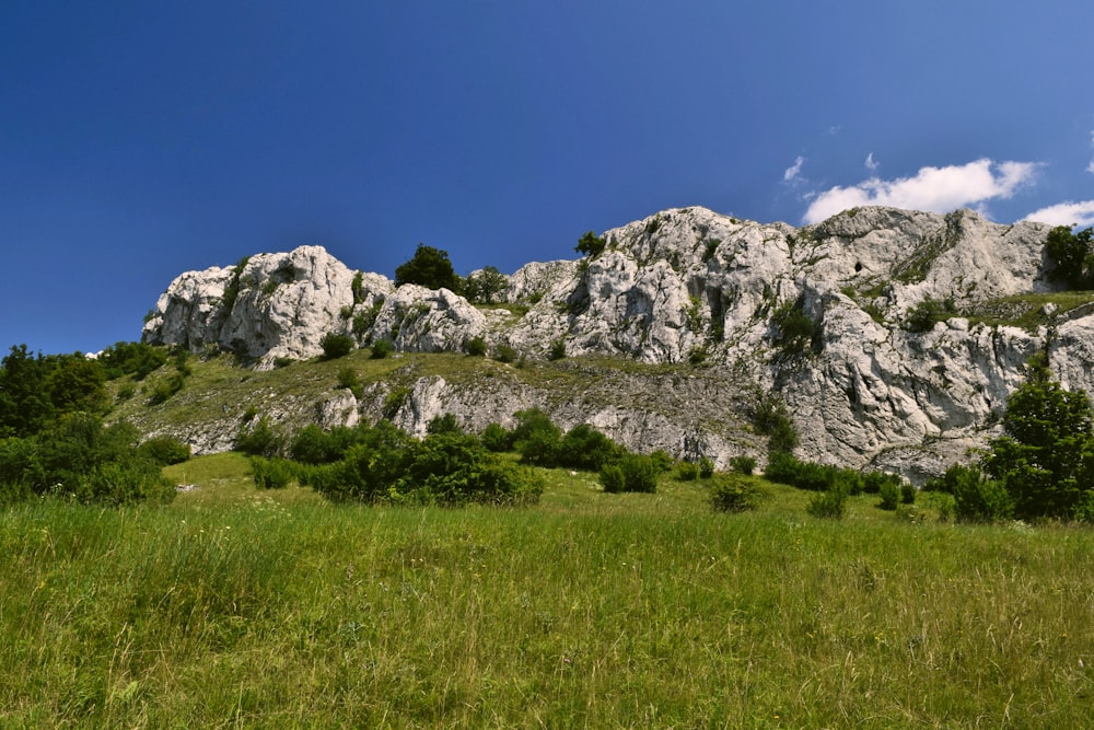 a grassy field with a mountain in the background