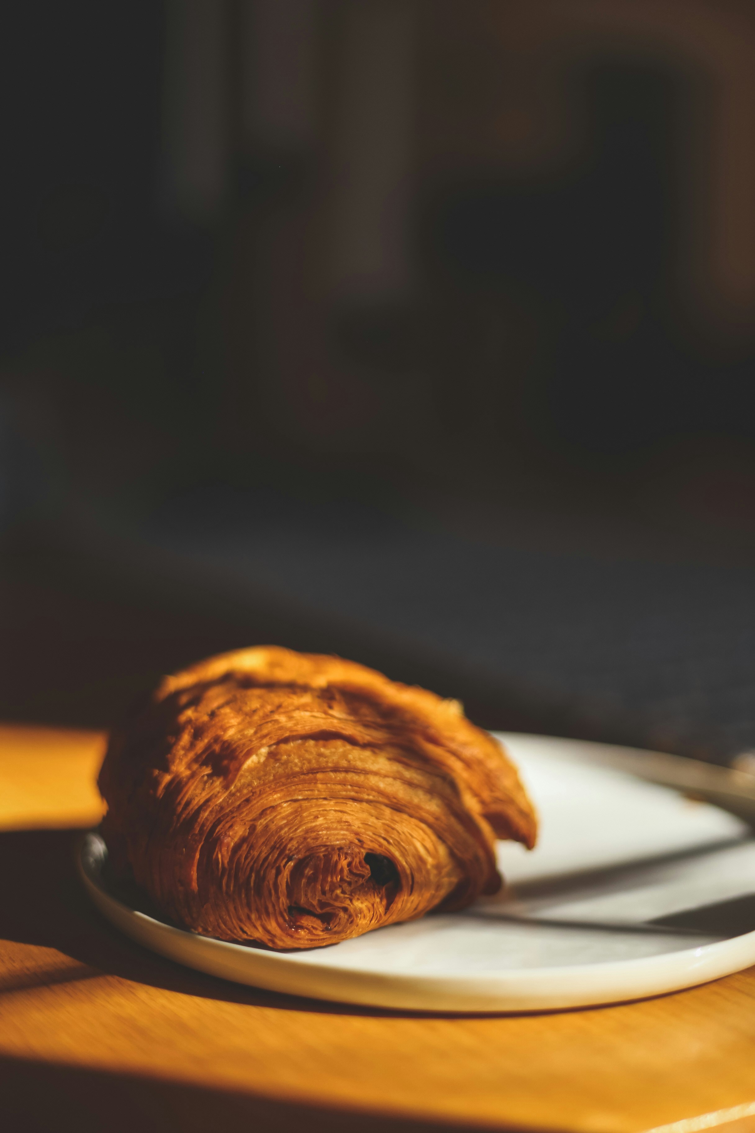 Photo by jessicalfadel