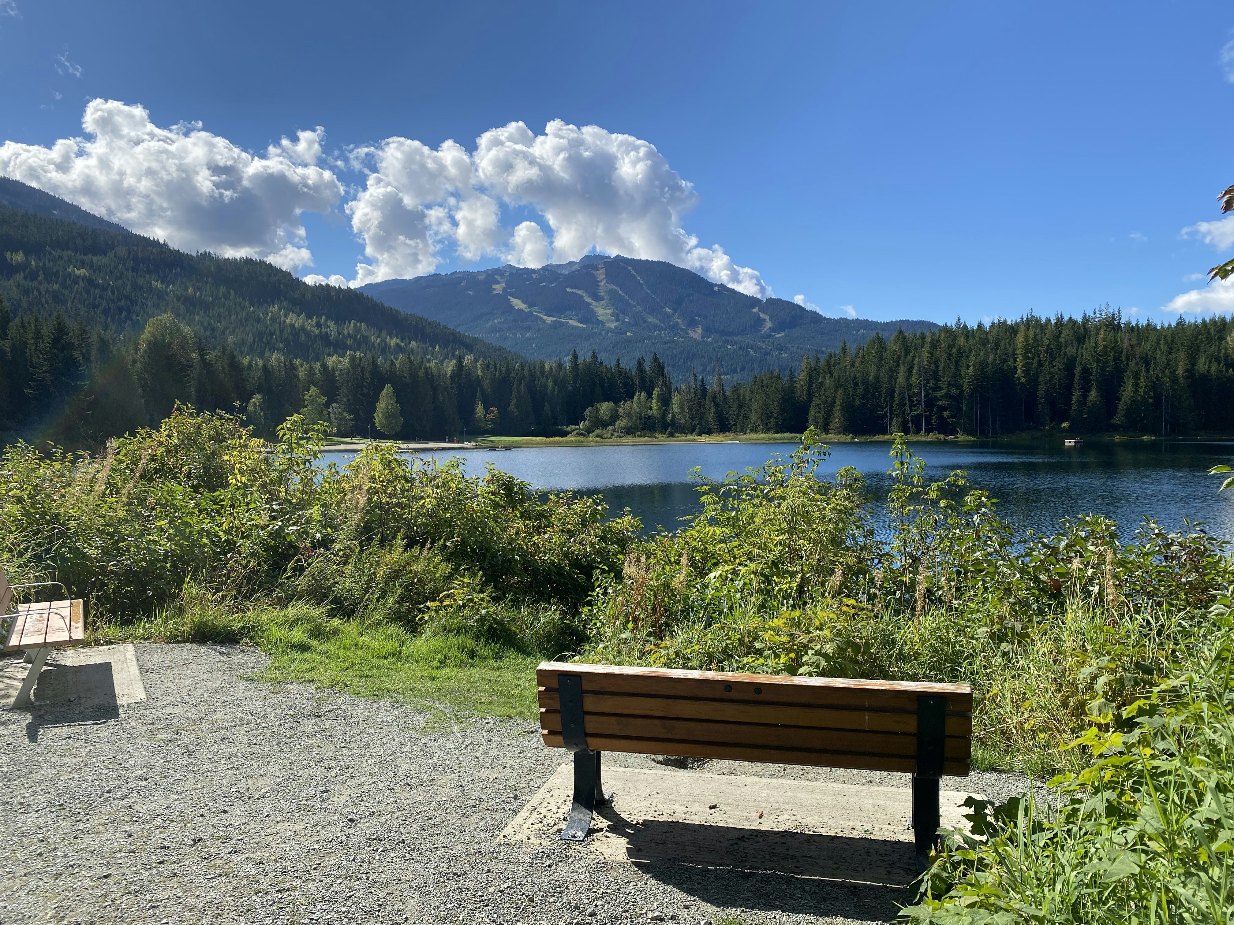 a wooden bench sitting next to a lake