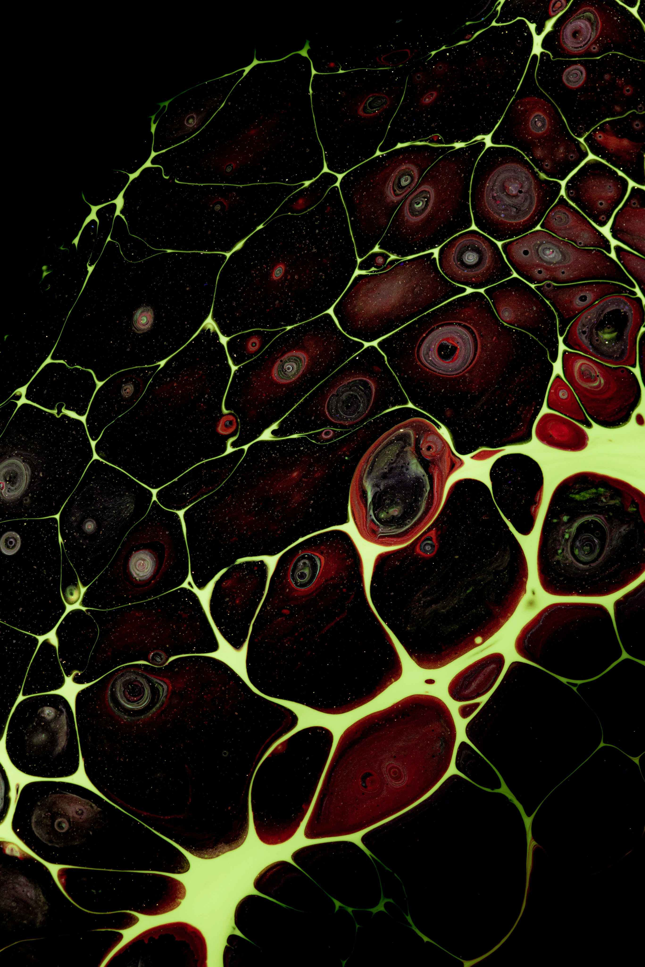 Photo by solenfeyissa