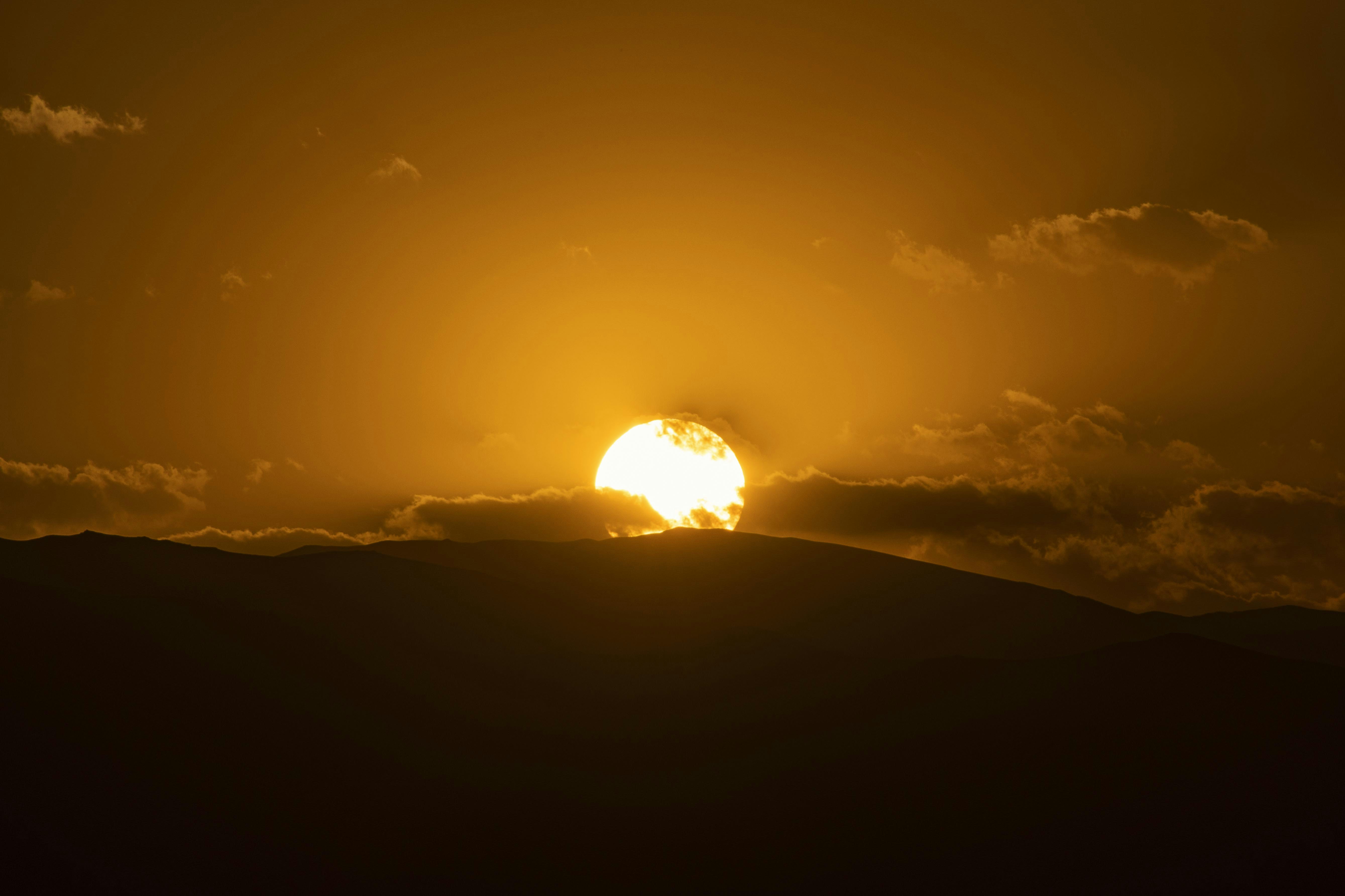 Photo by s_ahmadreza_p