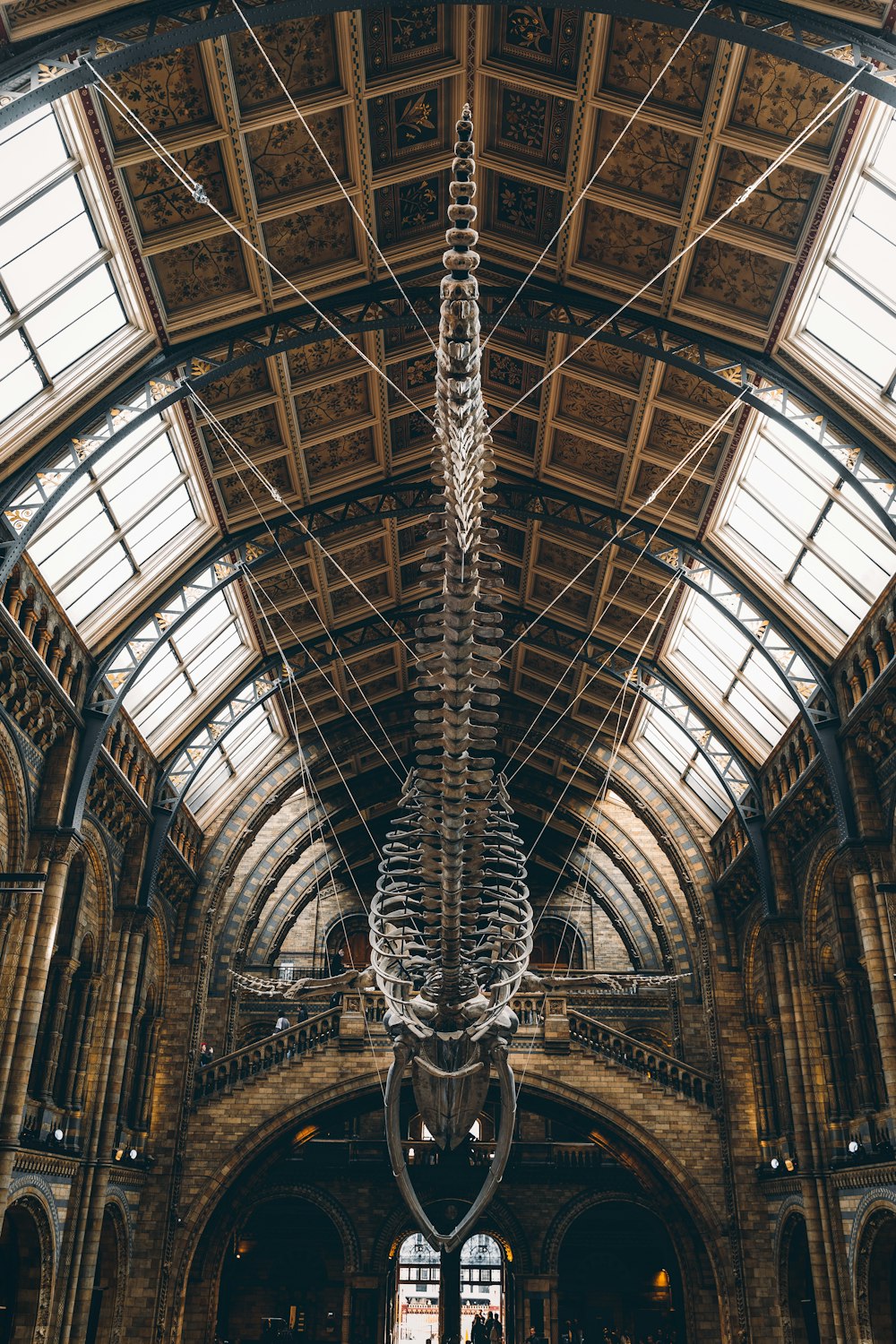 a large skeleton hanging from the ceiling of a building