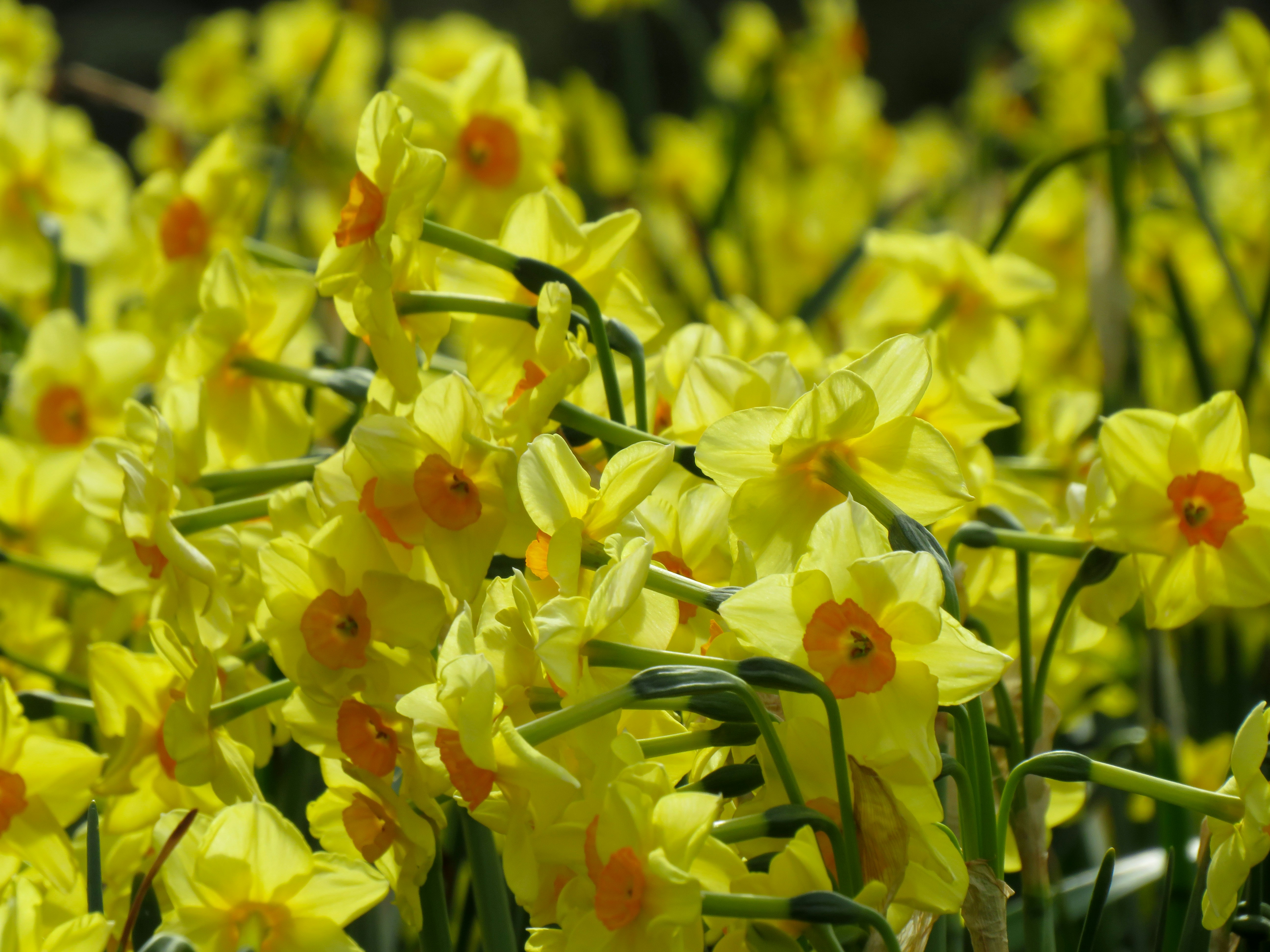 Photo by jbcphotography