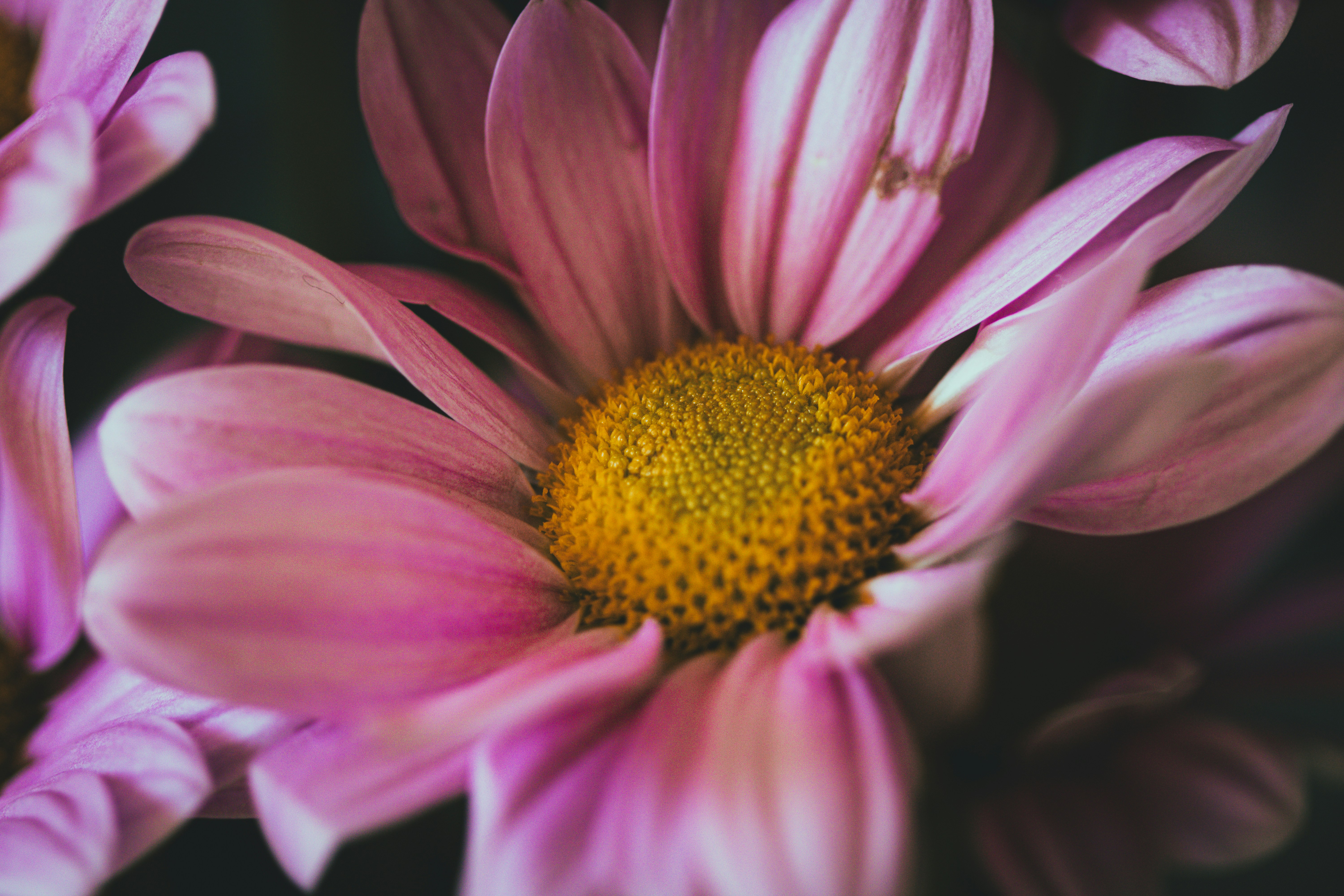 Photo by jbcphotography