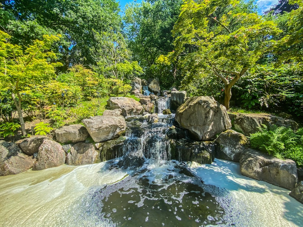 a small waterfall in the middle of a lush green forest