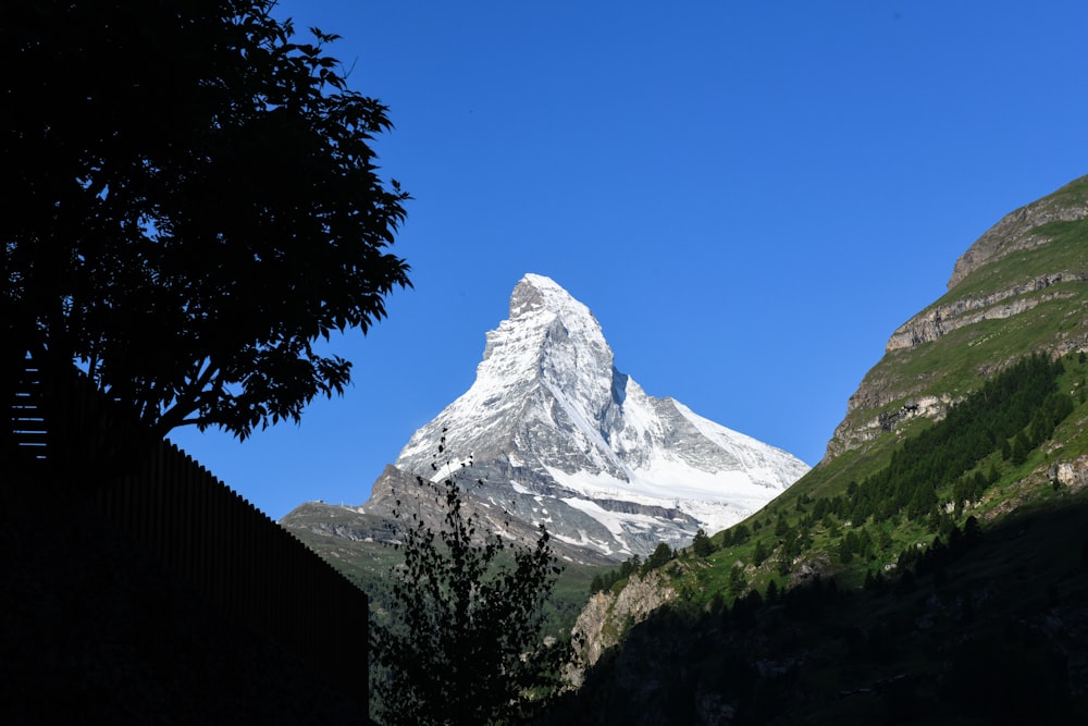 a tall mountain towering over a lush green forest