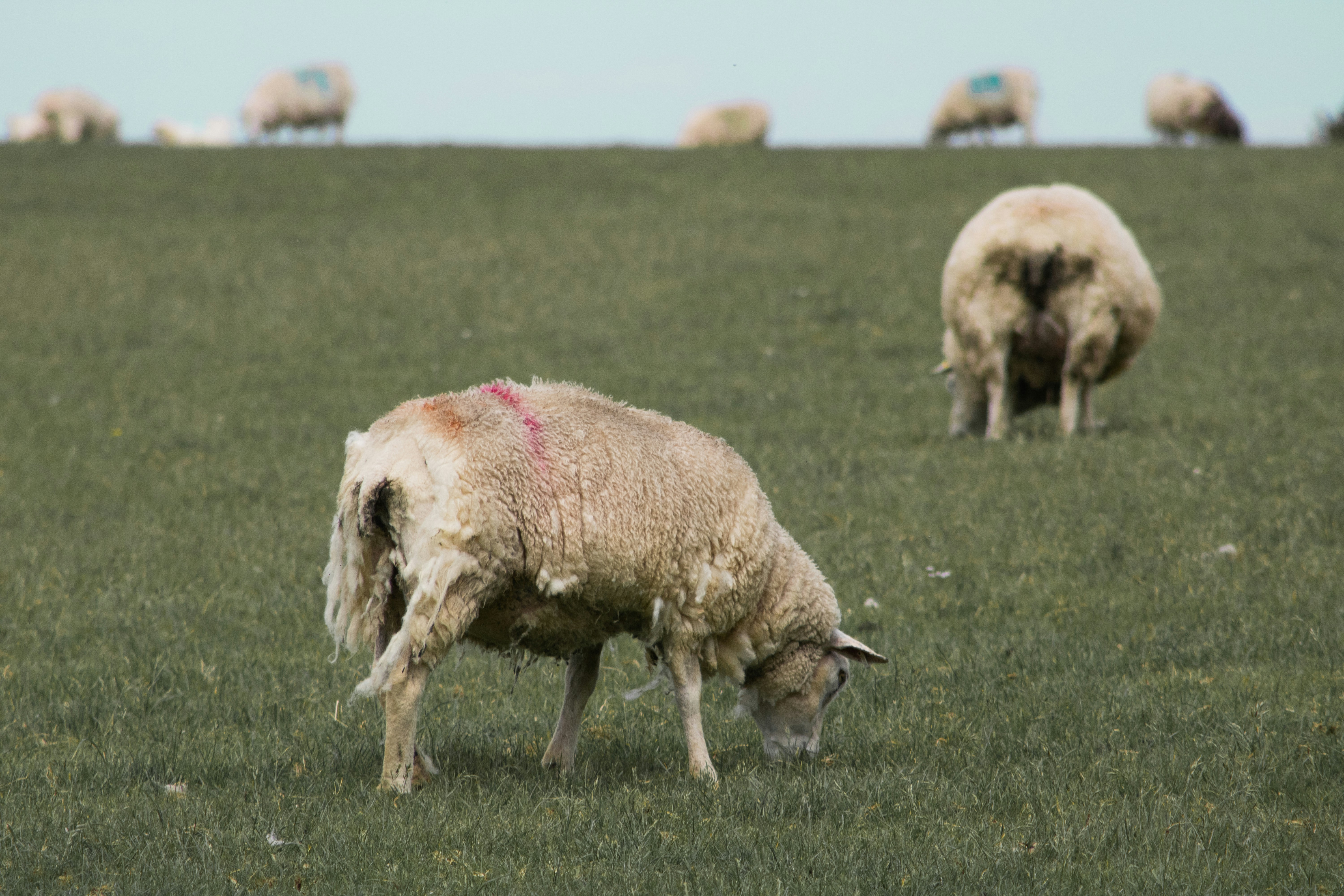 Photo by jbcphotography