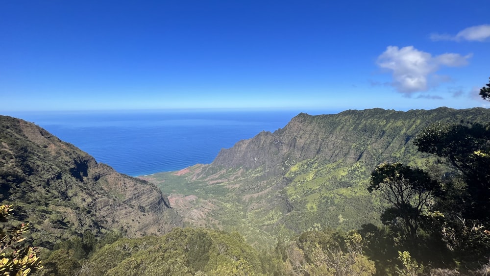 a view of the ocean from the top of a mountain