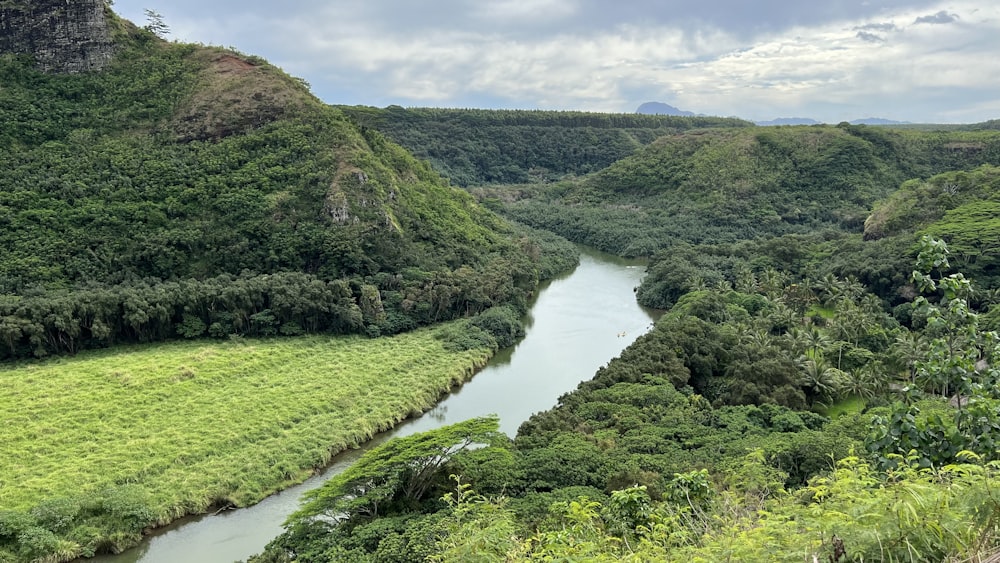 a river running through a lush green valley