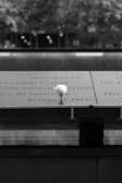 A single white rose is placed on a memorial plaque engraved with names, situated against a blurred background of trees and lights, suggesting a reflective and solemn setting.
