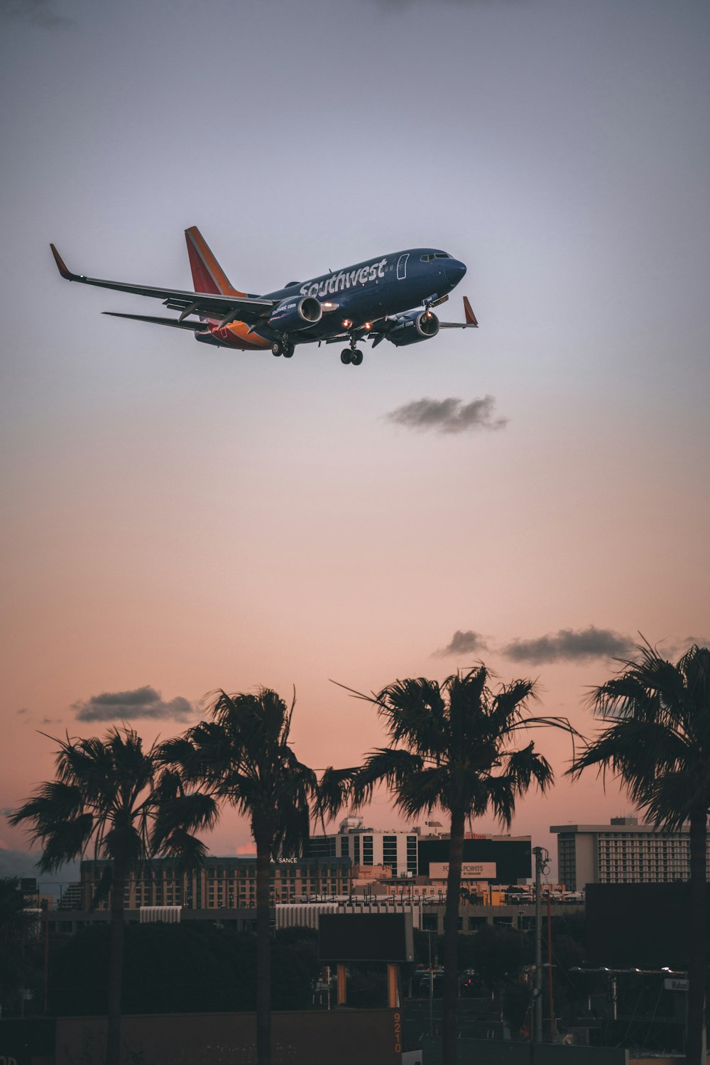 a blue and orange jet airliner flying over palm trees
