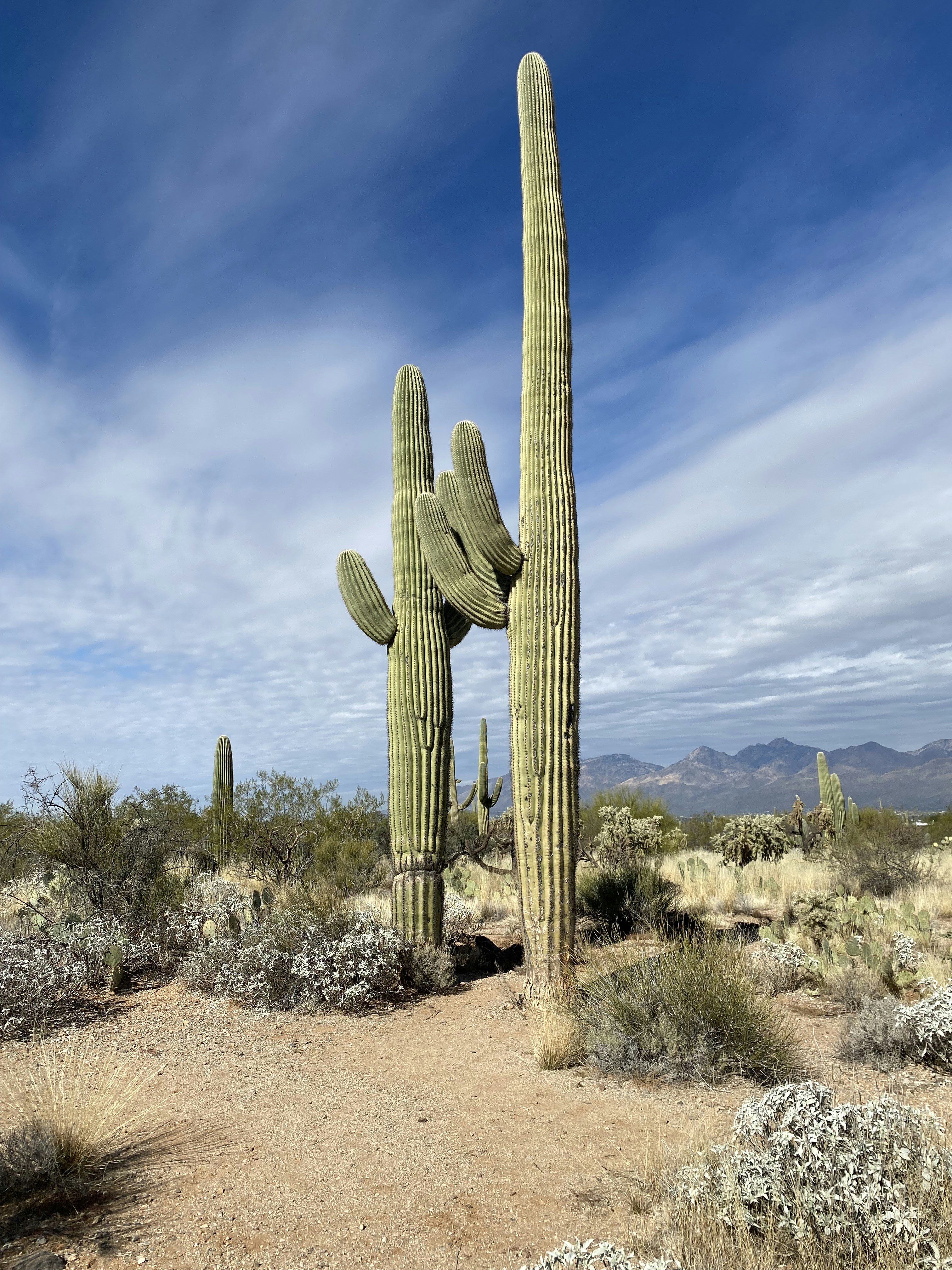 Photo by greasemnkey91684