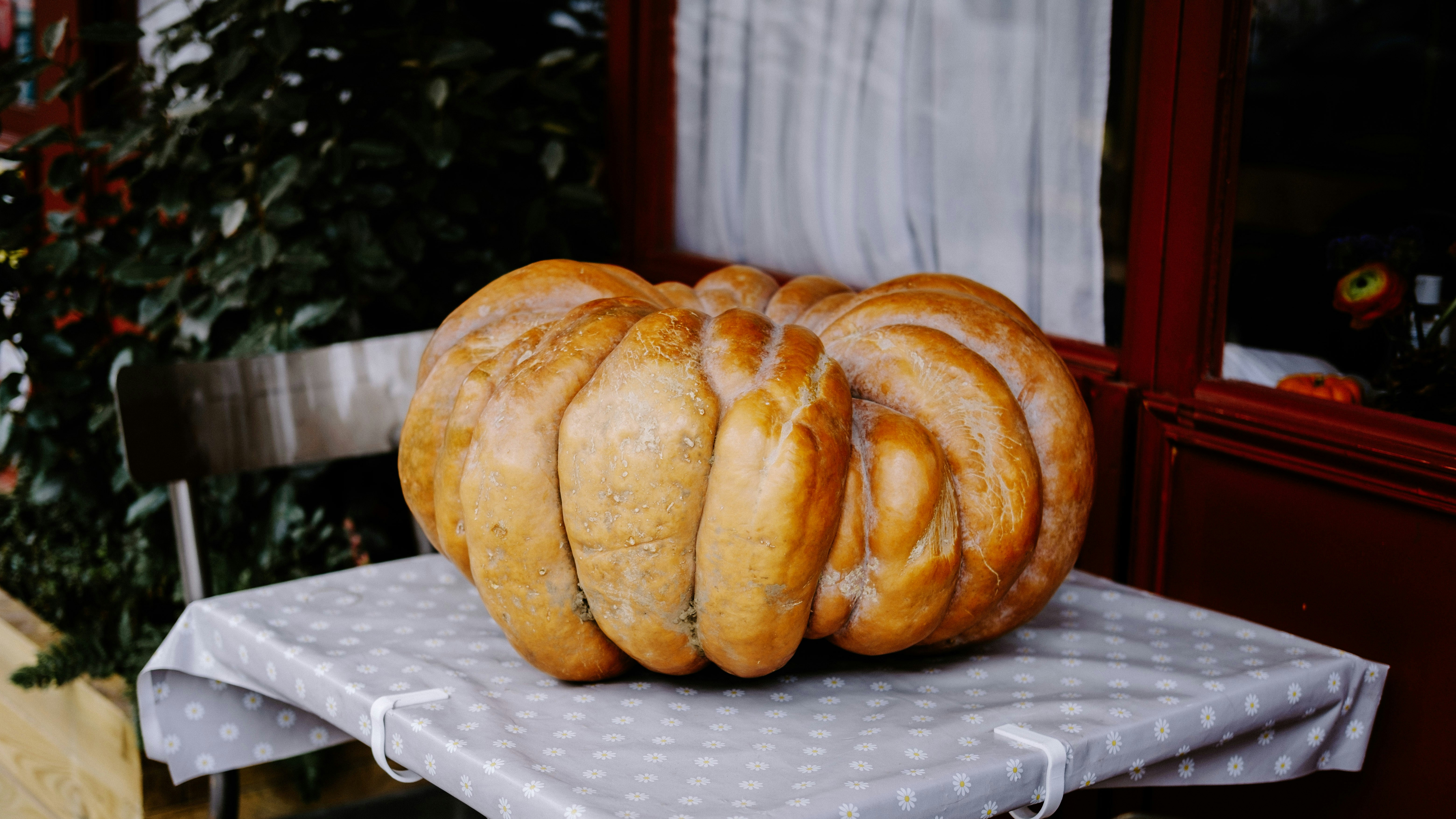 Bizzarro Pasta & New York Pizza Menu