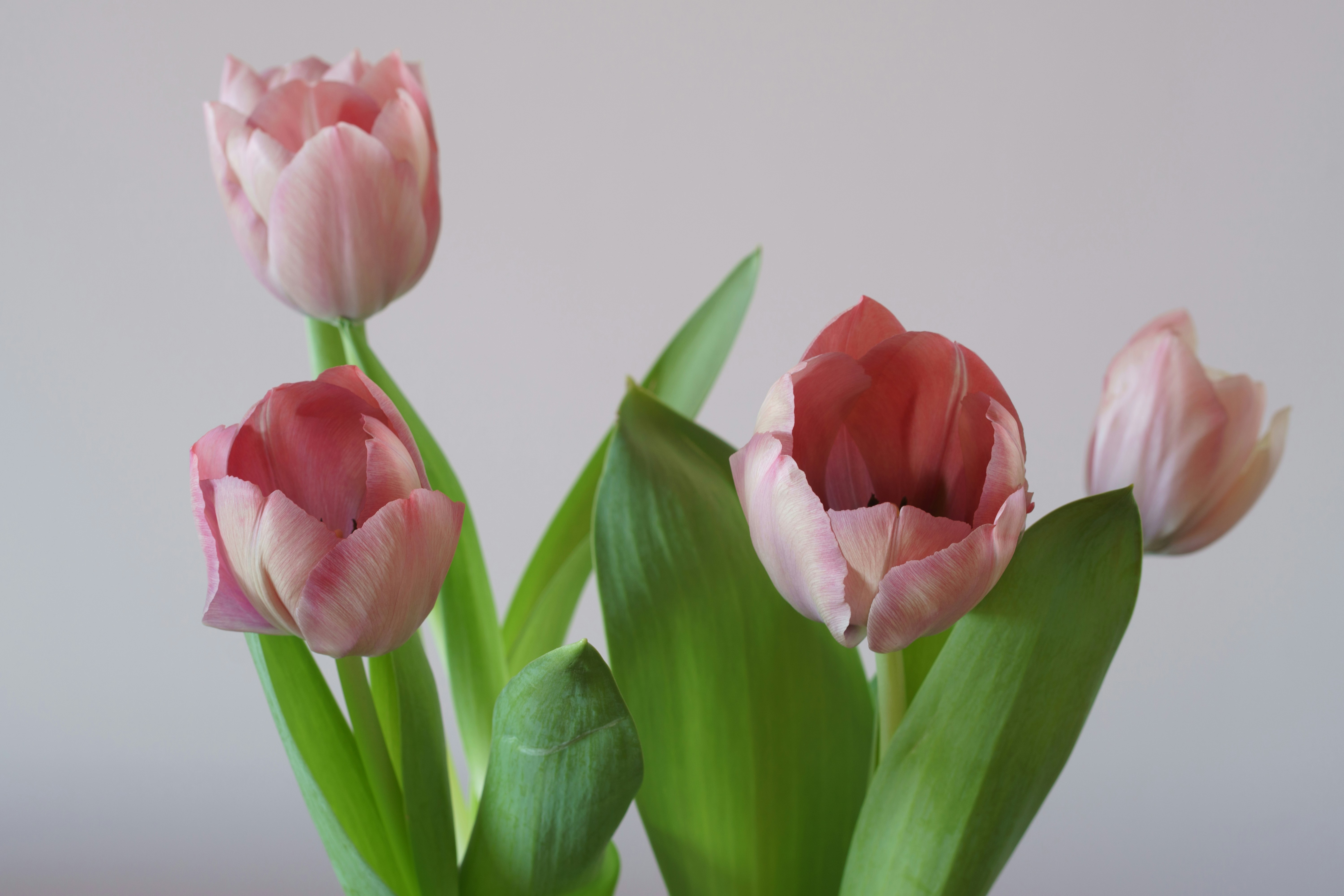 Photo by earl_plannerzone