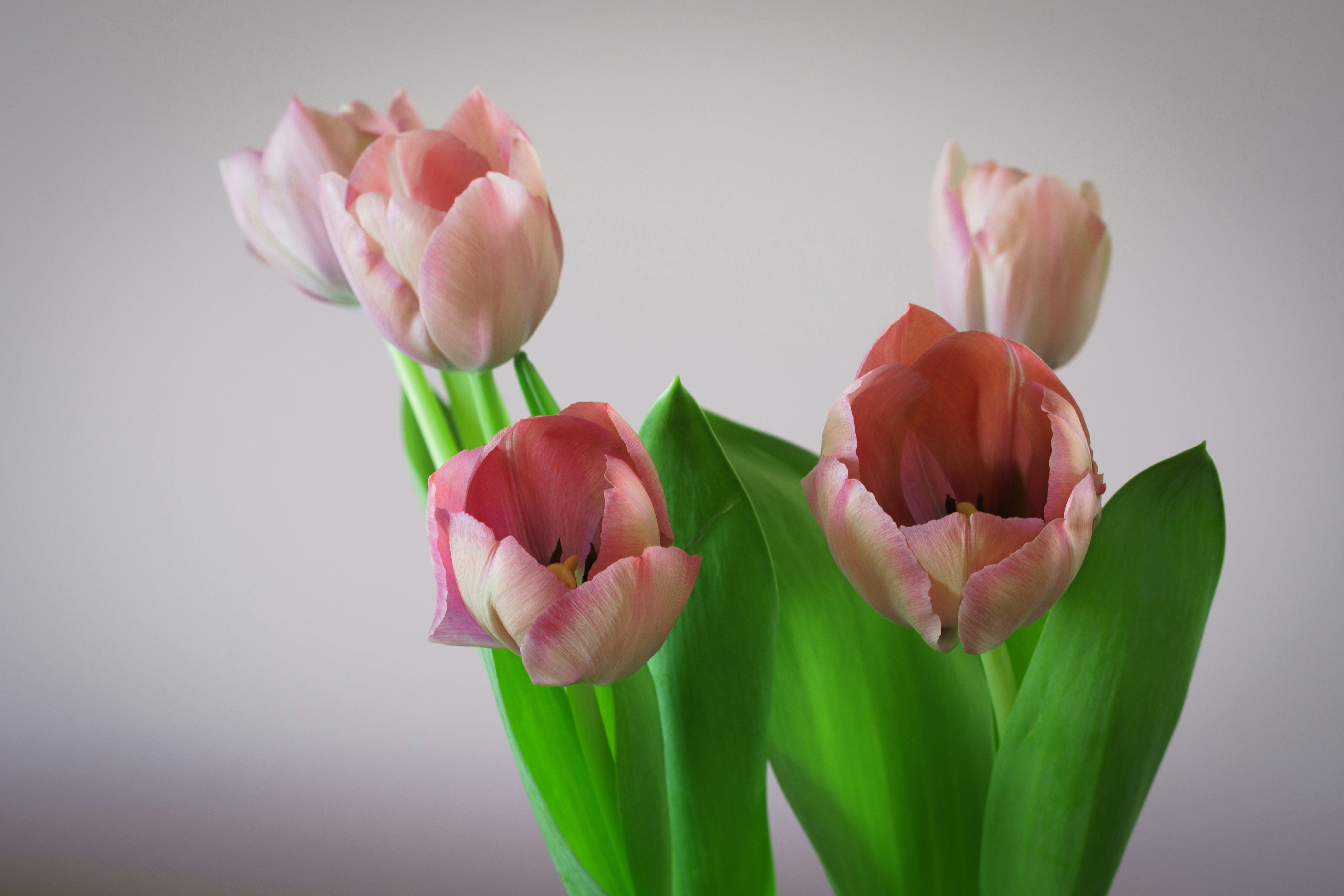 Photo by earl_plannerzone