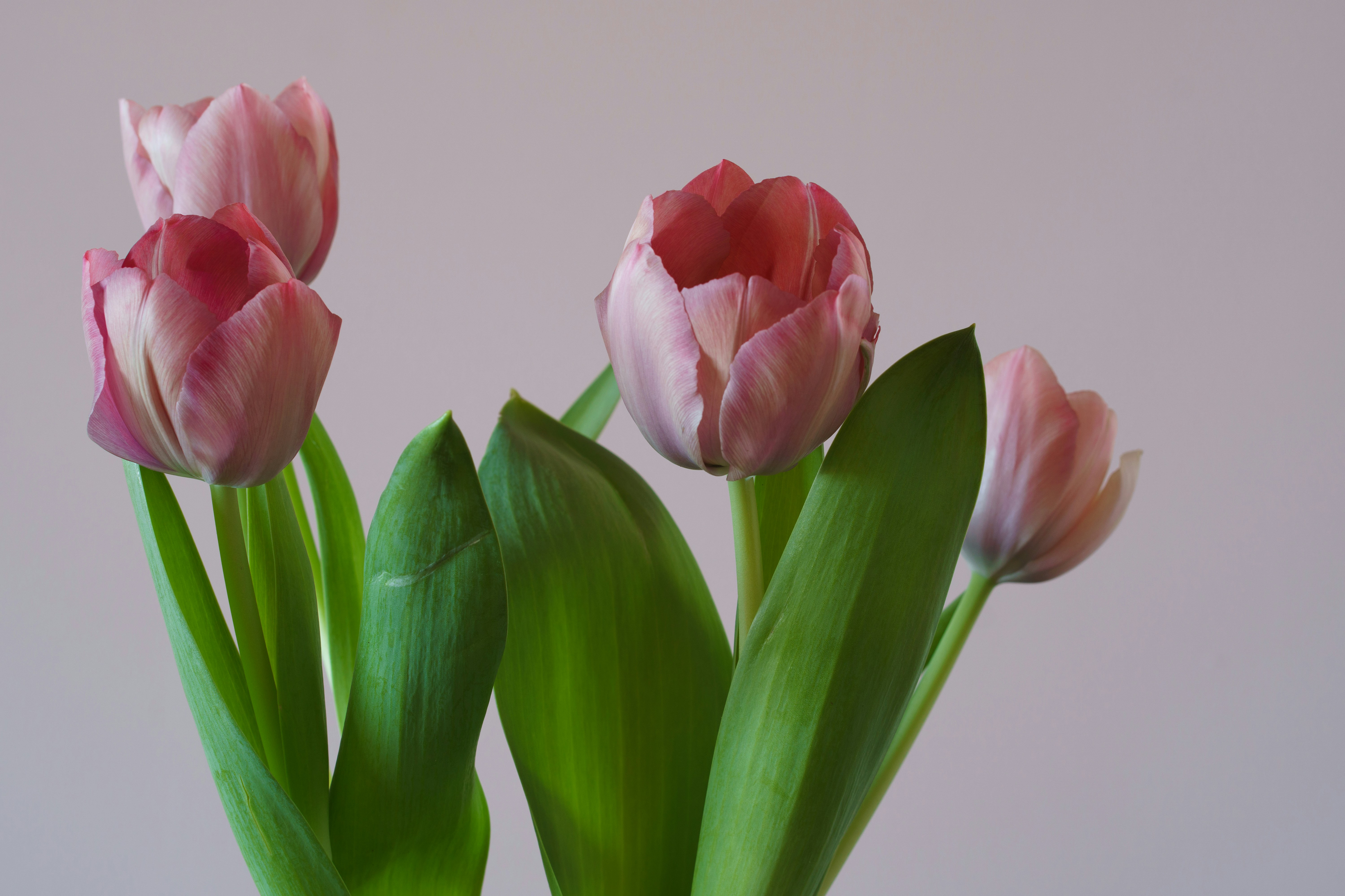 Photo by earl_plannerzone