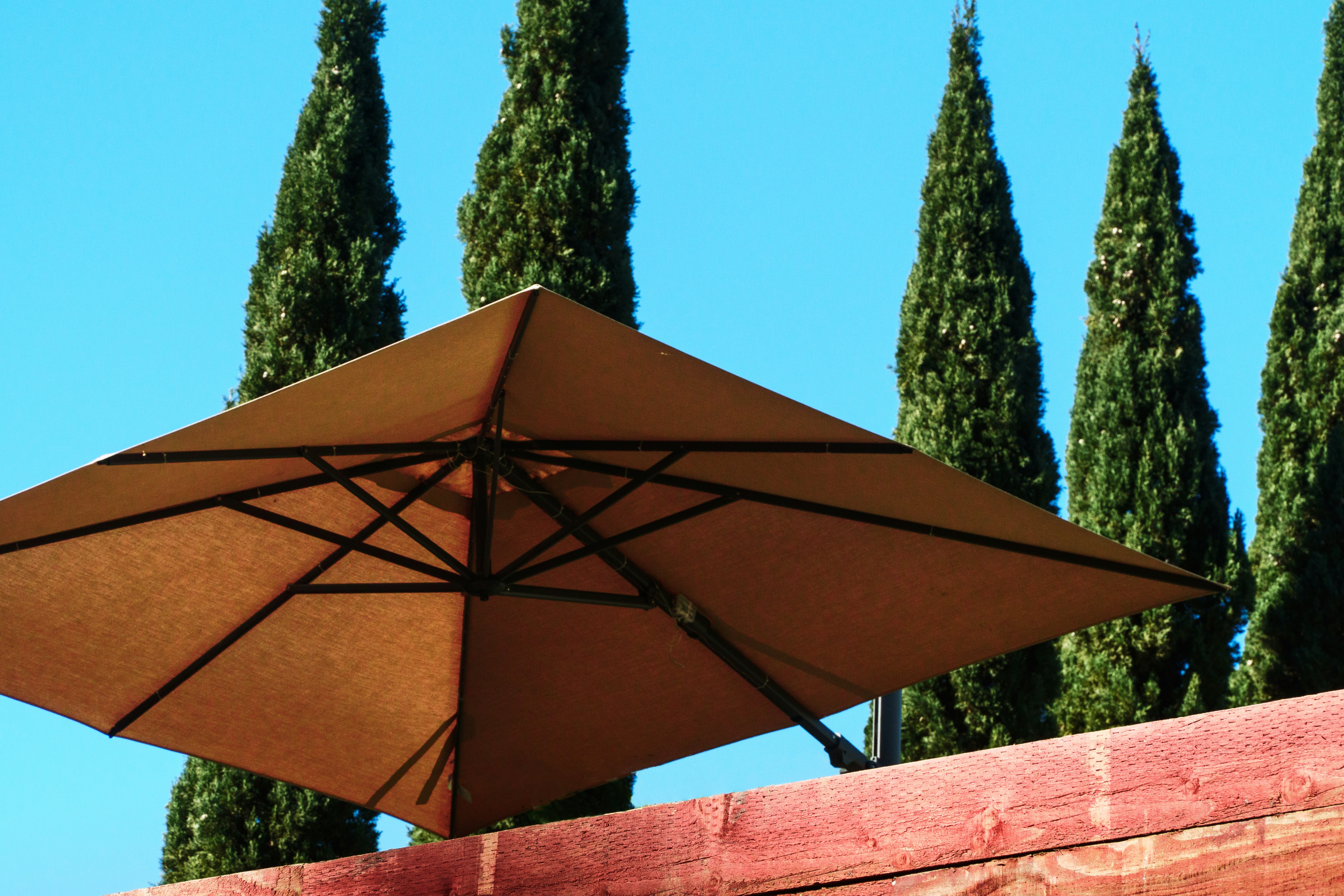 Photo by earl_plannerzone