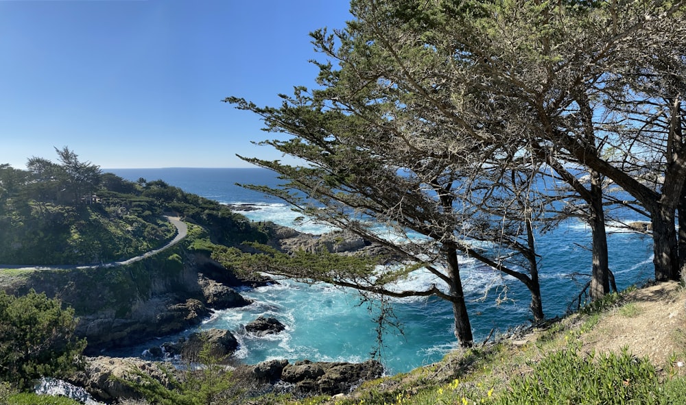 a scenic view of the ocean from a hill