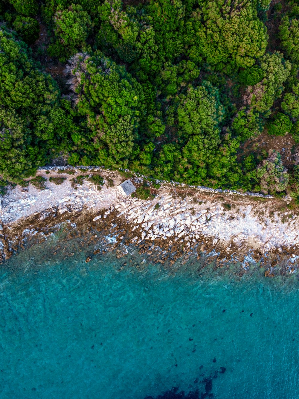 a bird's eye view of a beach and trees