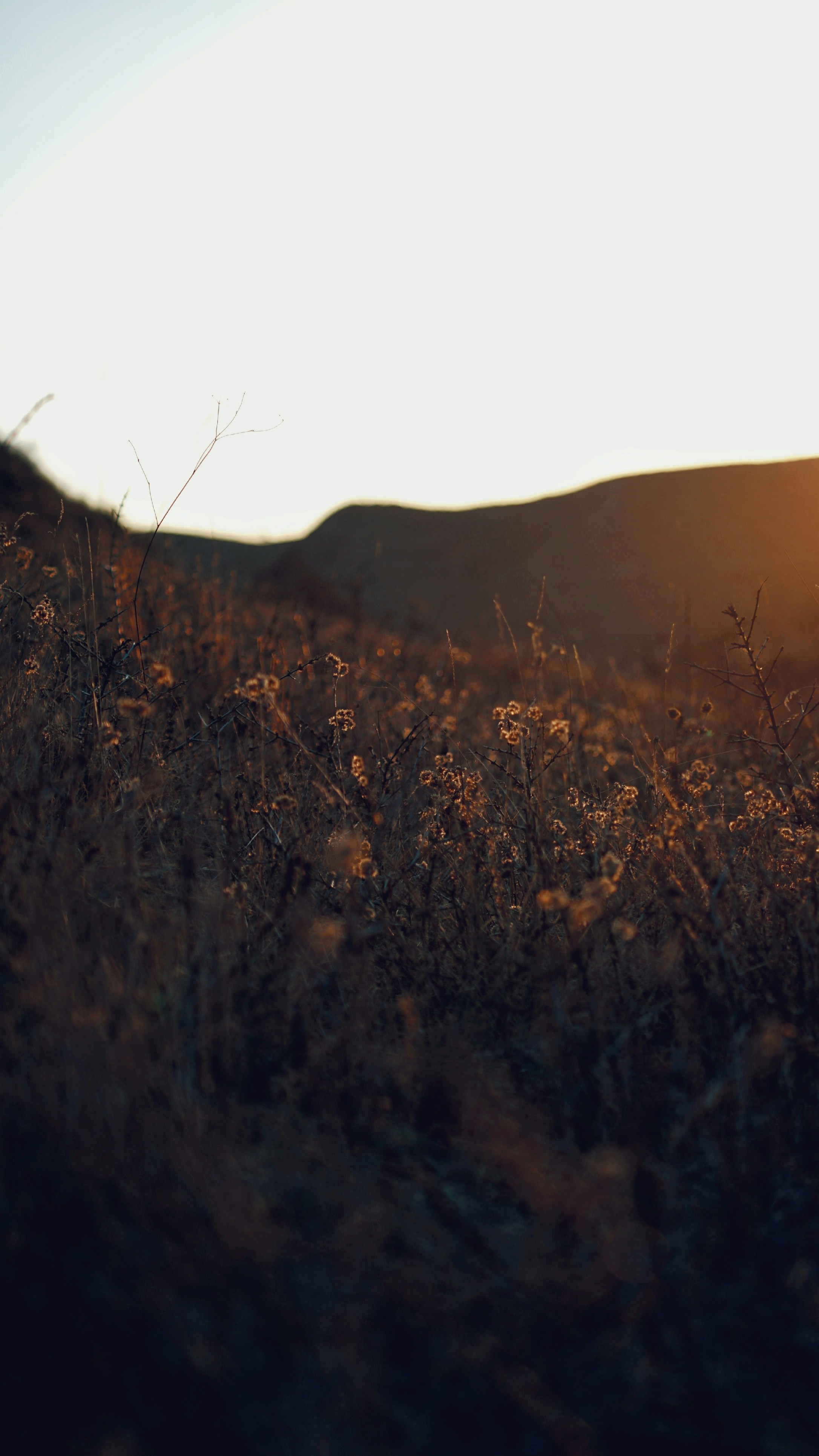 Photo by judahwester