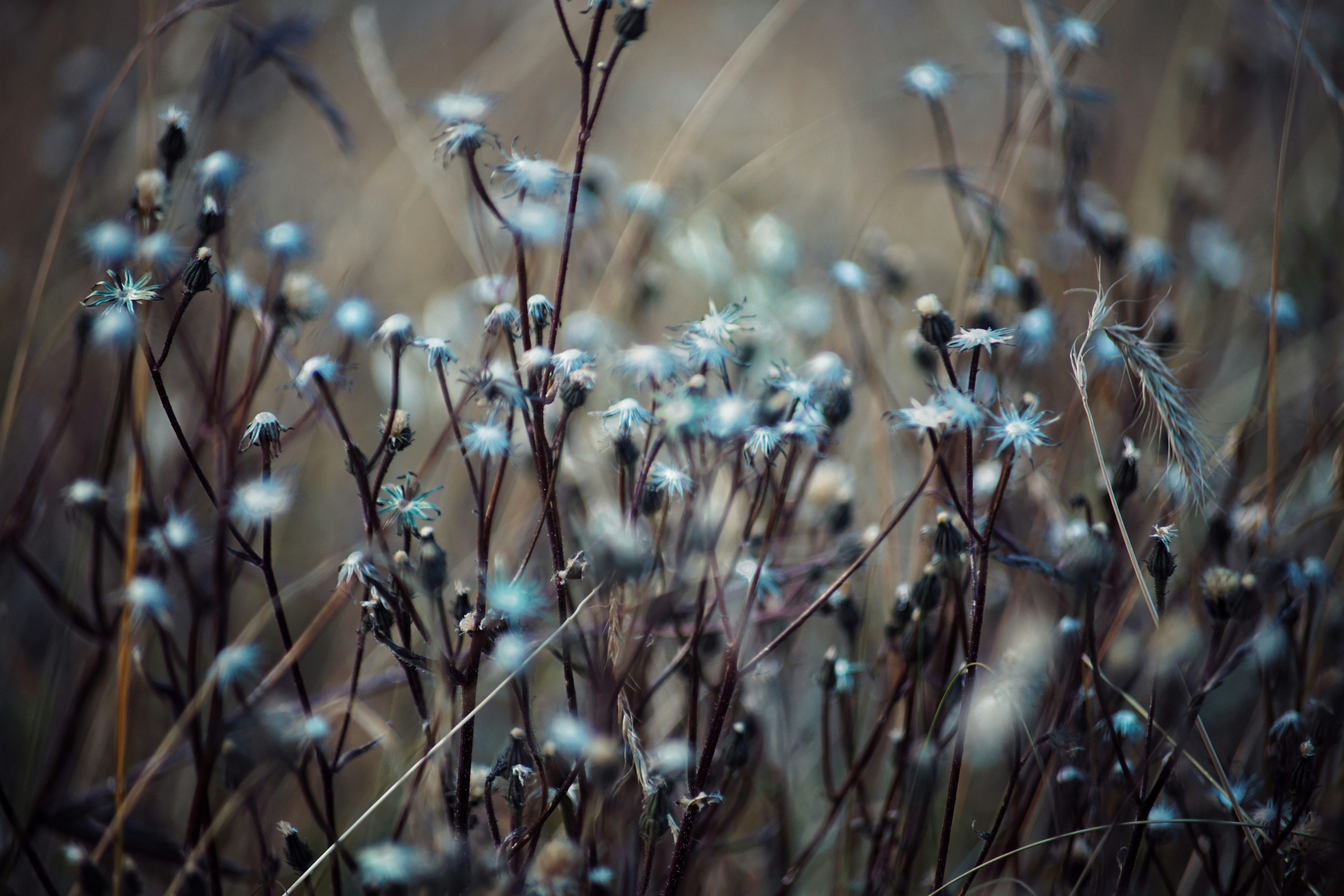 Photo by judahwester