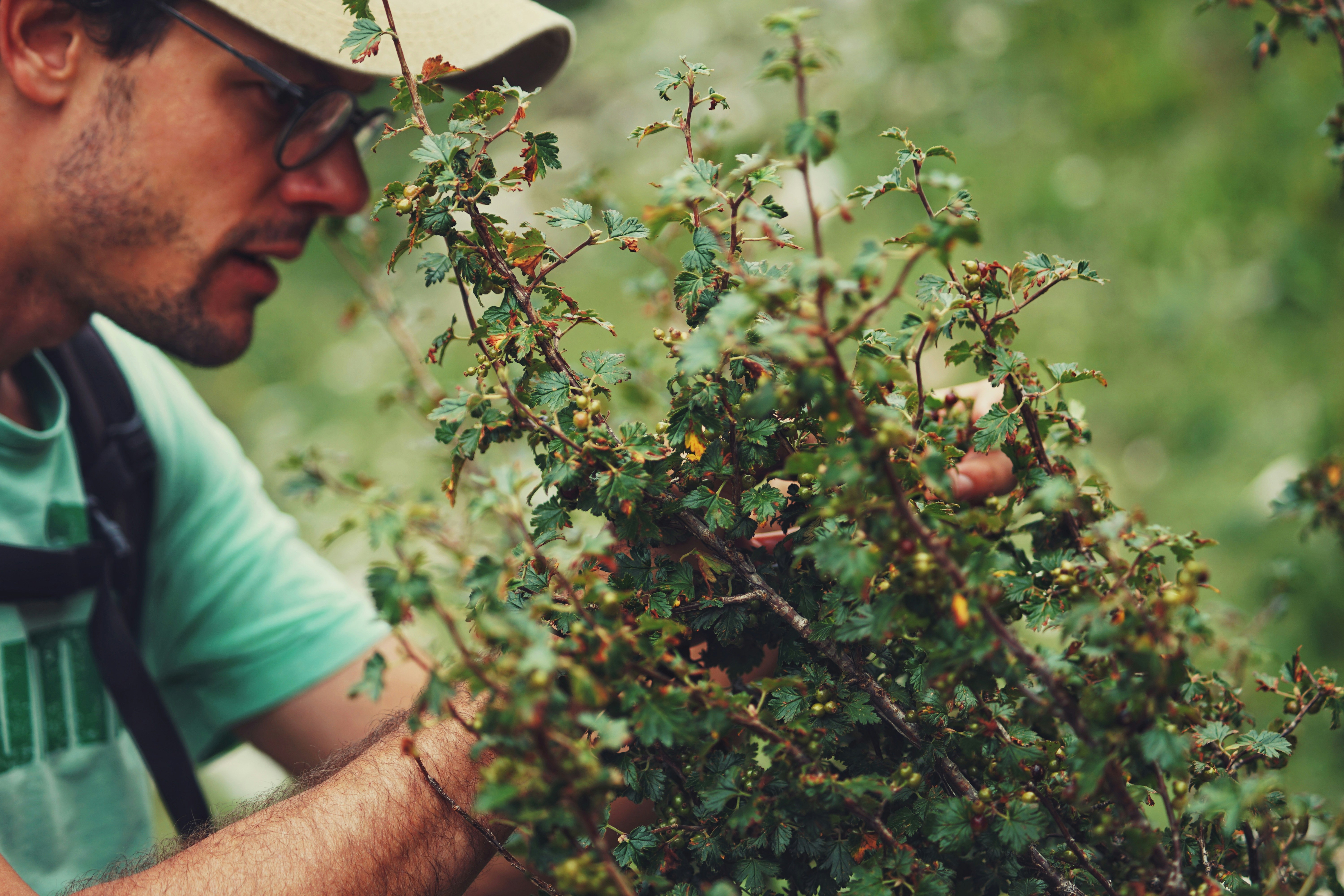 Photo by judahwester