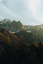 a view of a mountain range with trees in the foreground