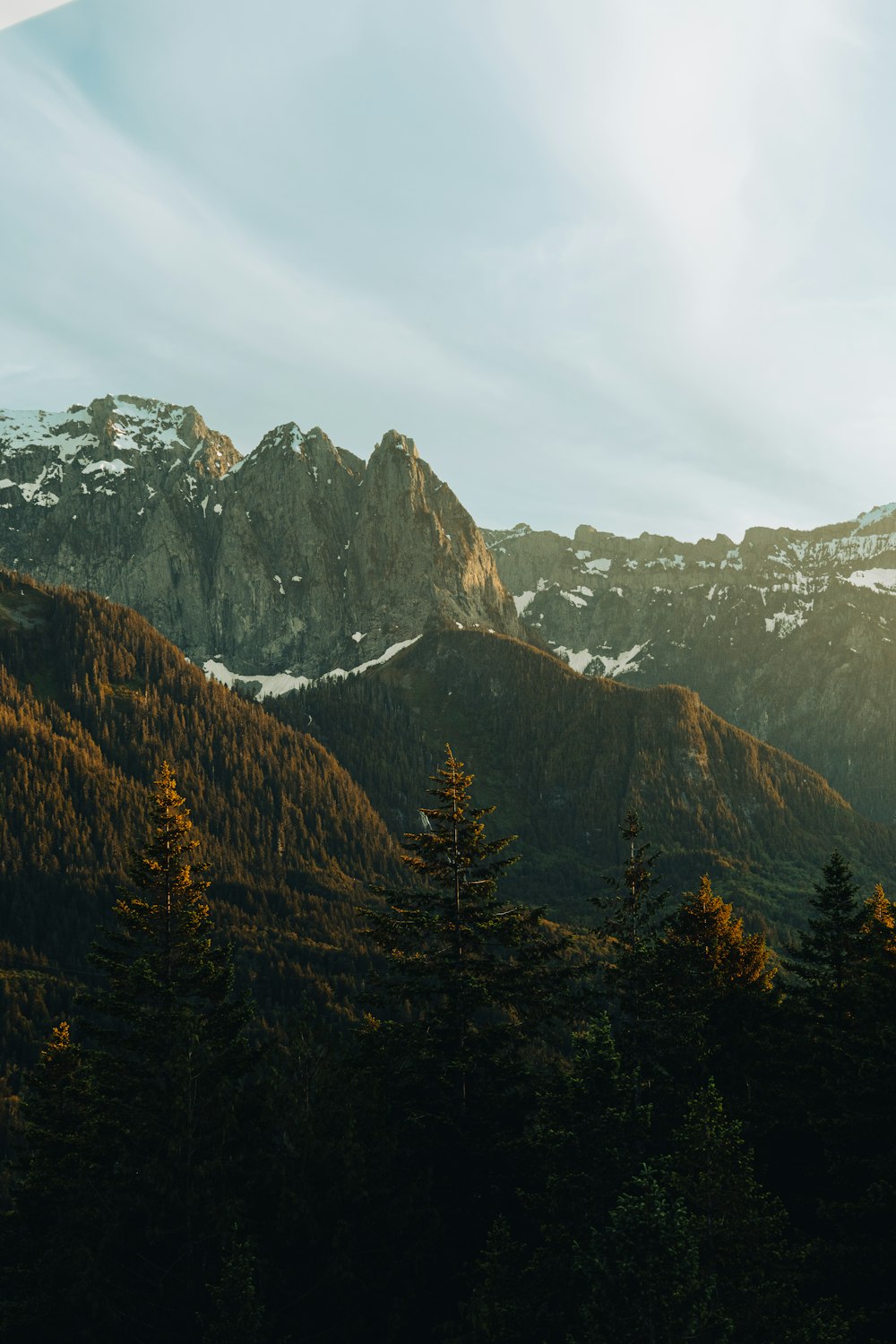 a view of a mountain range with trees in the foreground