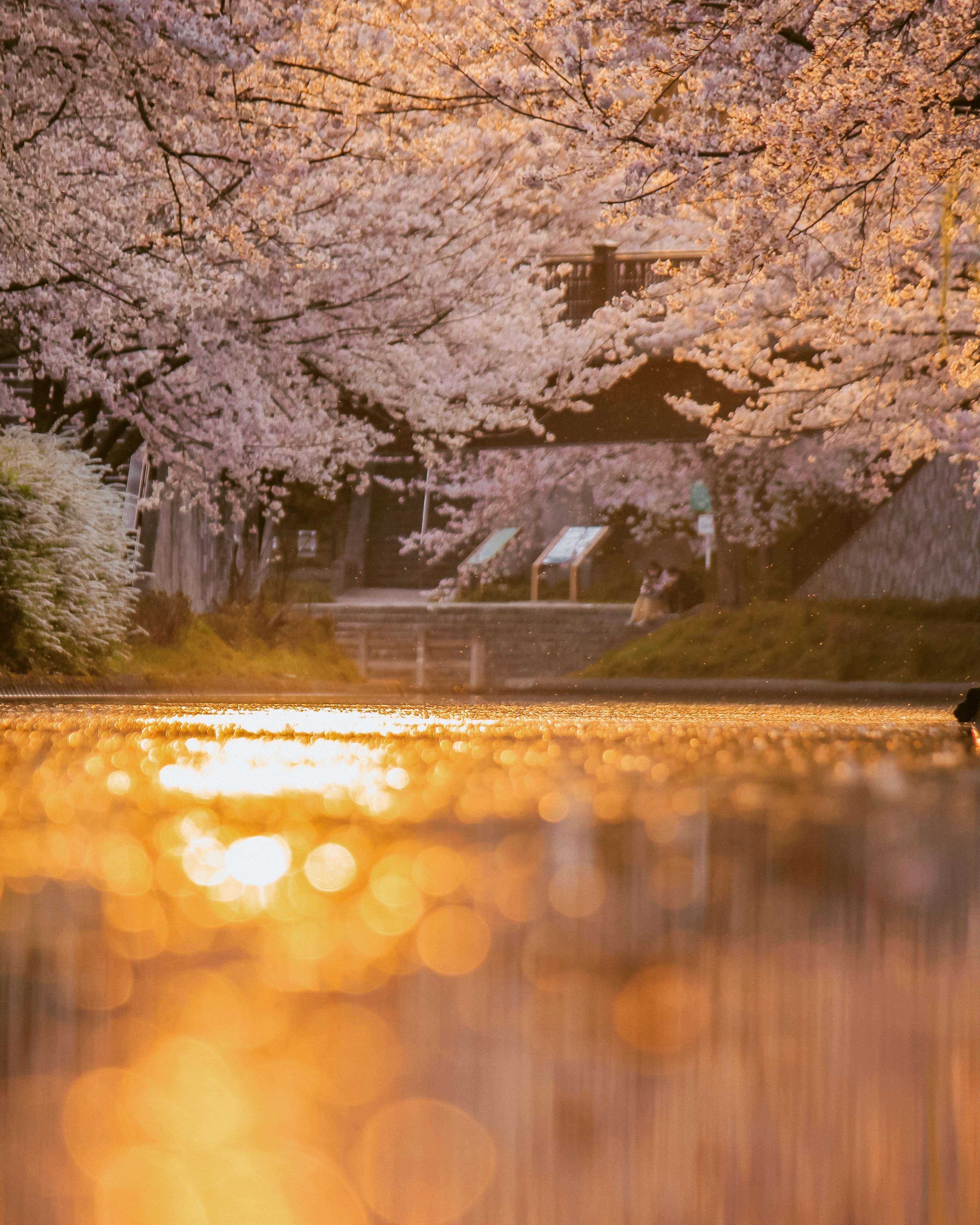 Photo by marvindee33