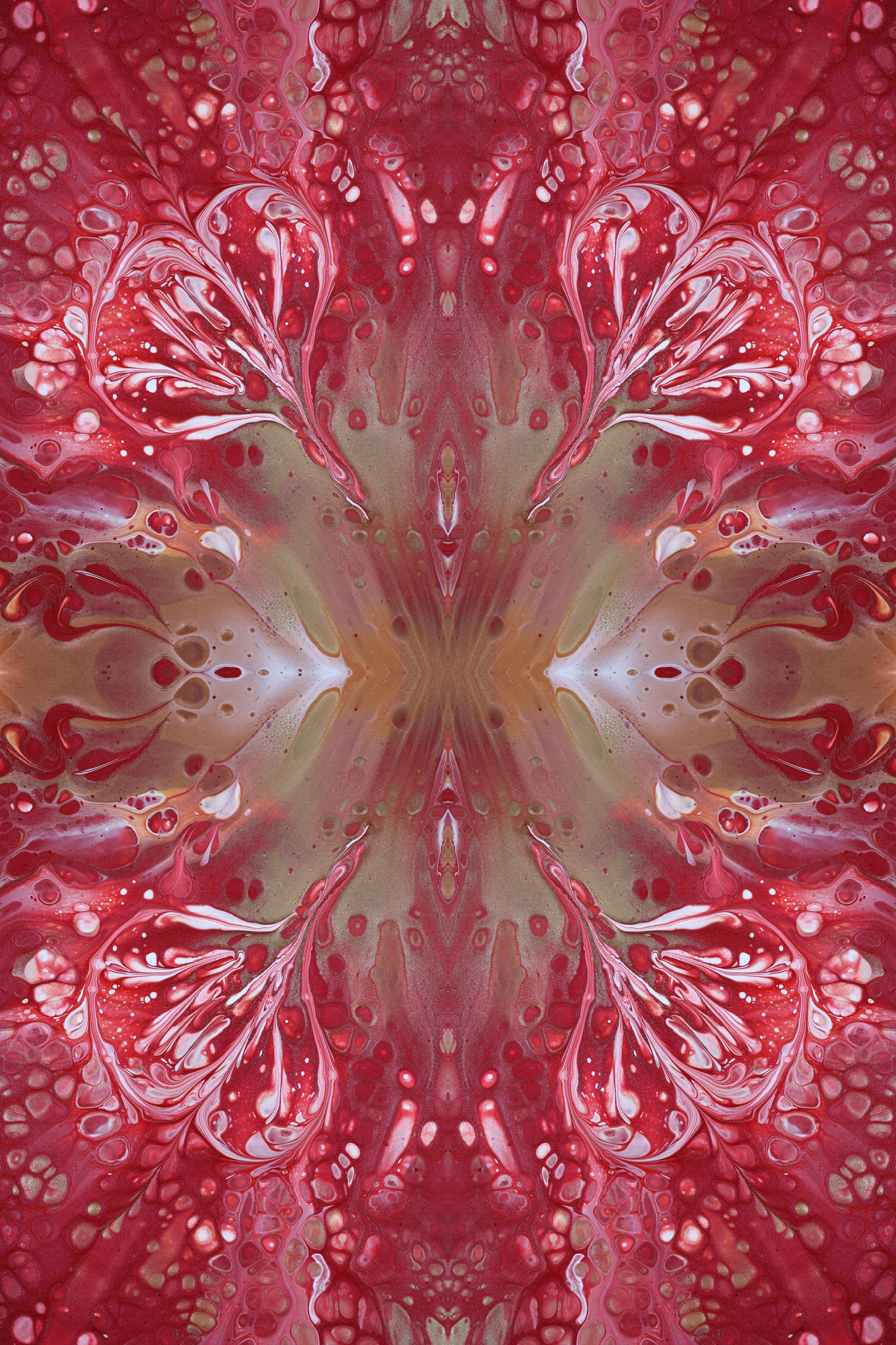 Photo by susan_wilkinson