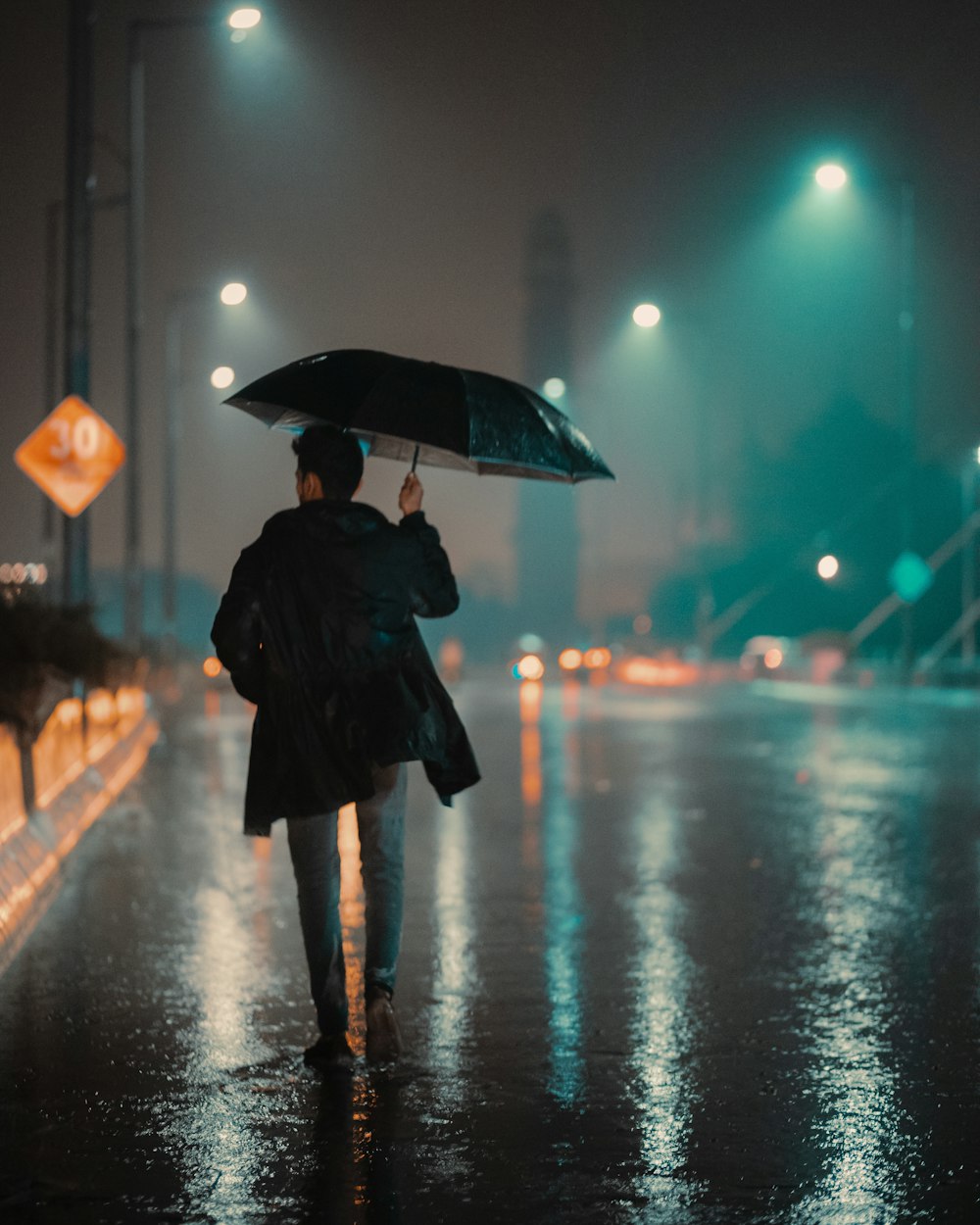 a person walking in the rain with an umbrella