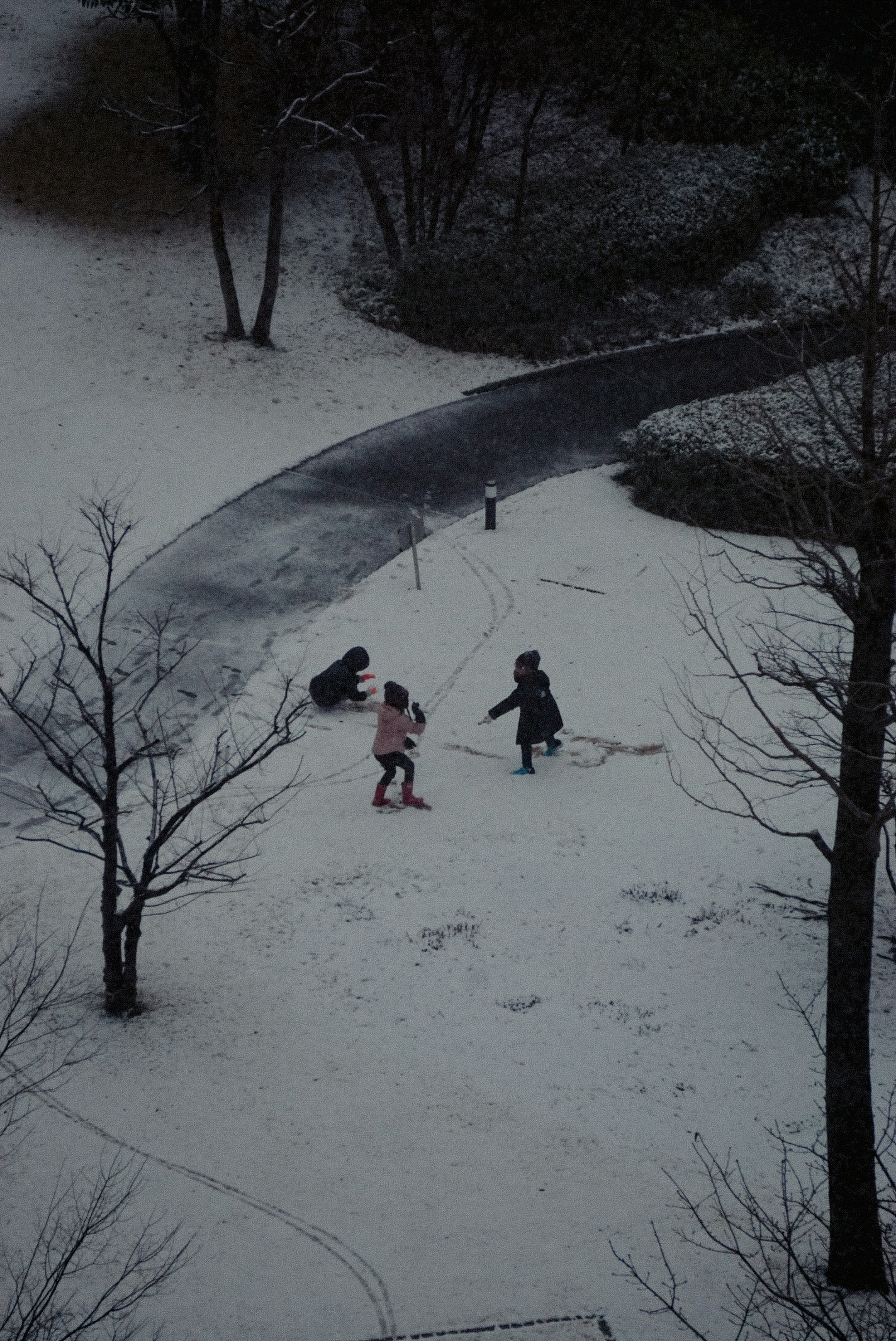 a couple of kids are playing in the snow
