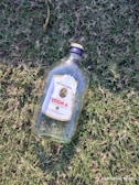 A clear glass bottle labeled 'Premium Vodka' lies empty on green grass. The label has blue and red text with a gold emblem on it. Sunlight casts shadows and highlights on the grass, enhancing the texture and color variations.