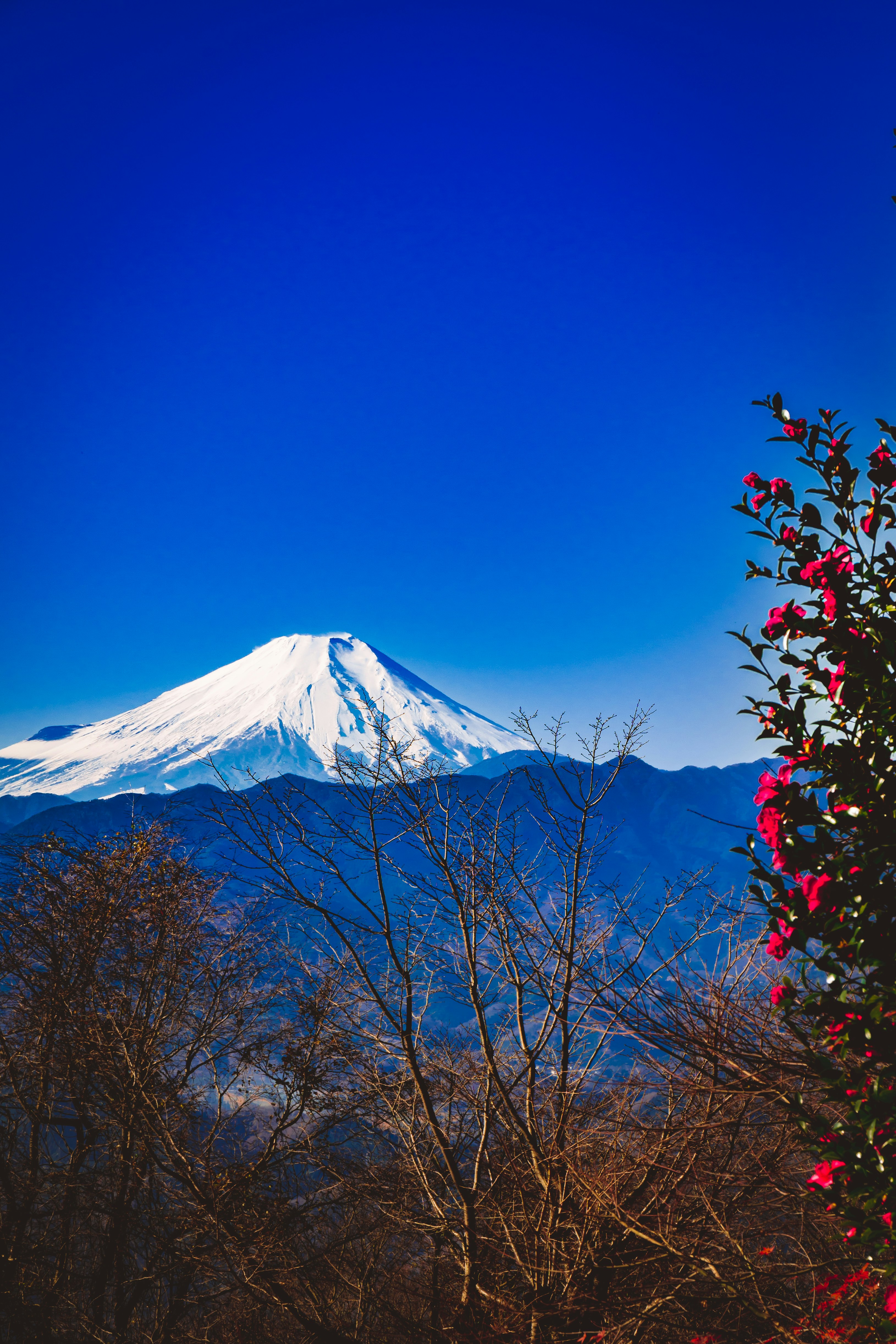 Photo by s_tsuchiya